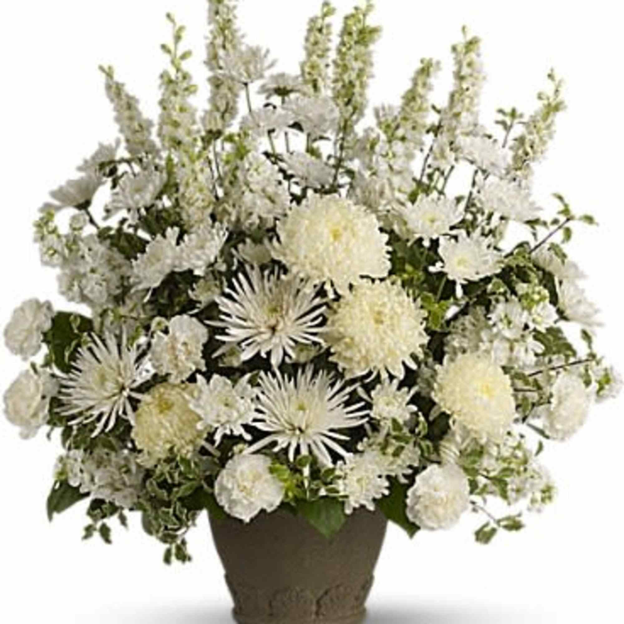 White chrysanthemum arrangement in a brown pot