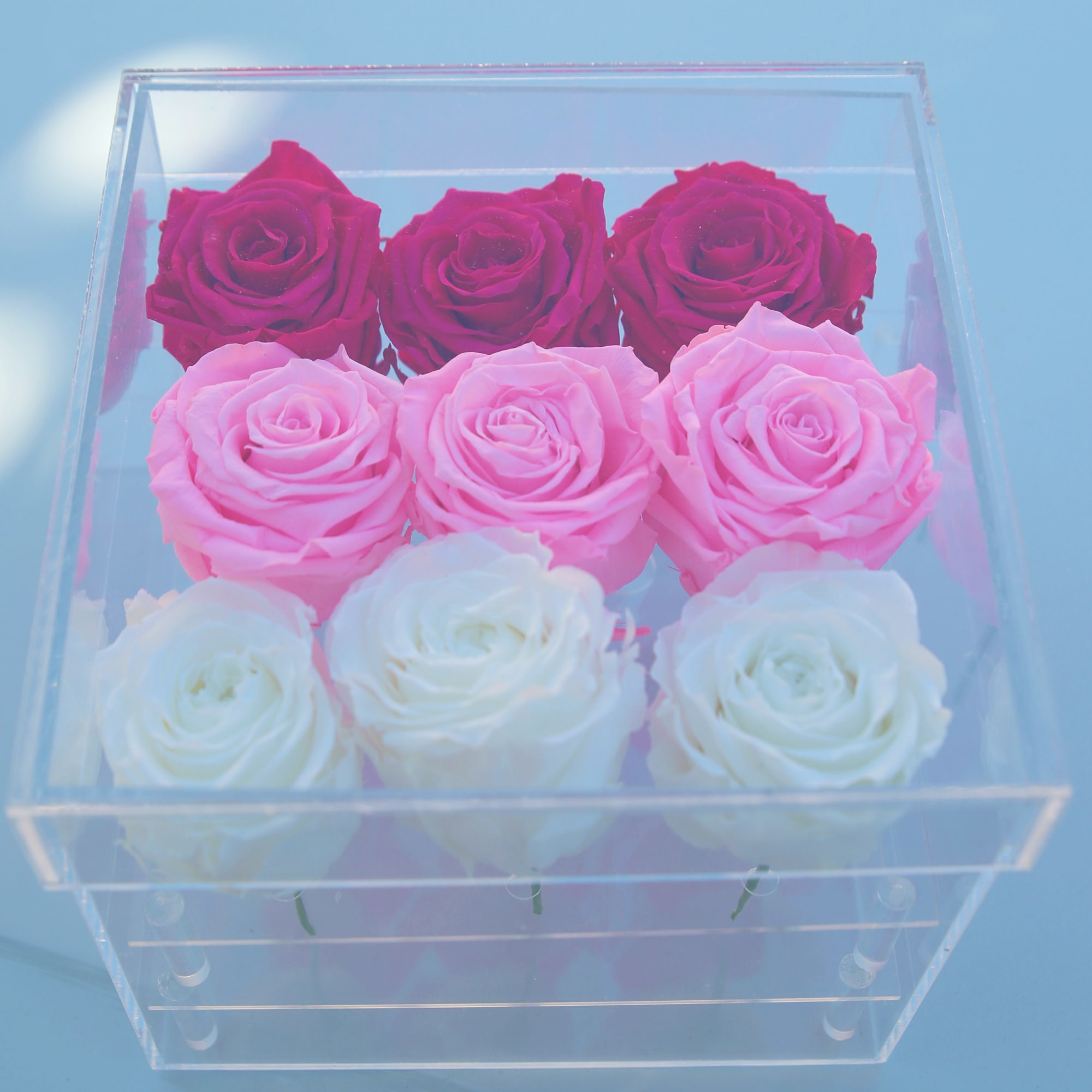 Box of pink, red, and white roses in a clear acrylic case