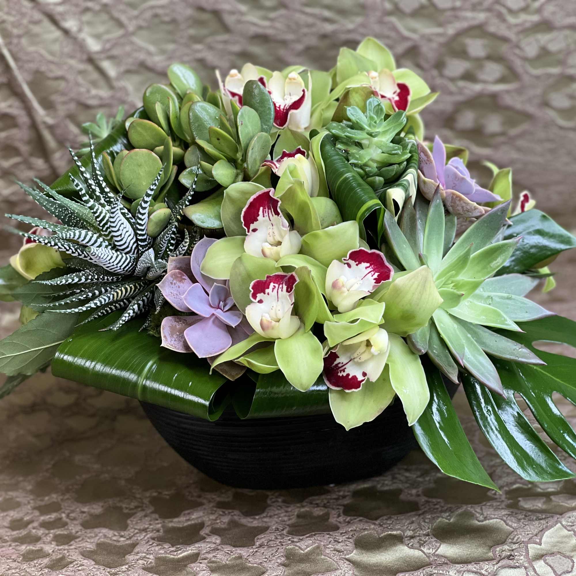 Tropical succulent and orchid arrangement in a black bowl