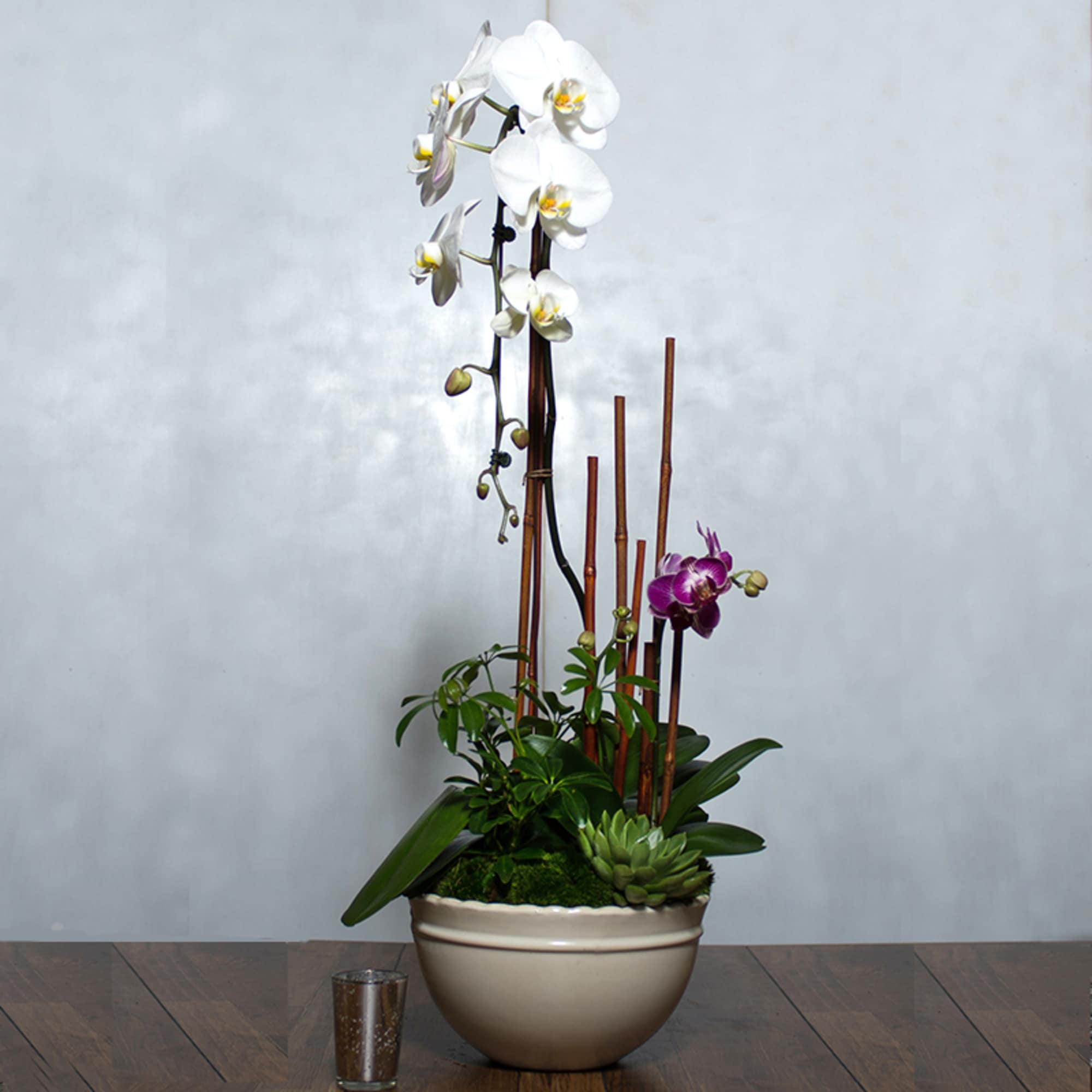 Tall orchid arrangement in a beige bowl planter with a small succulent