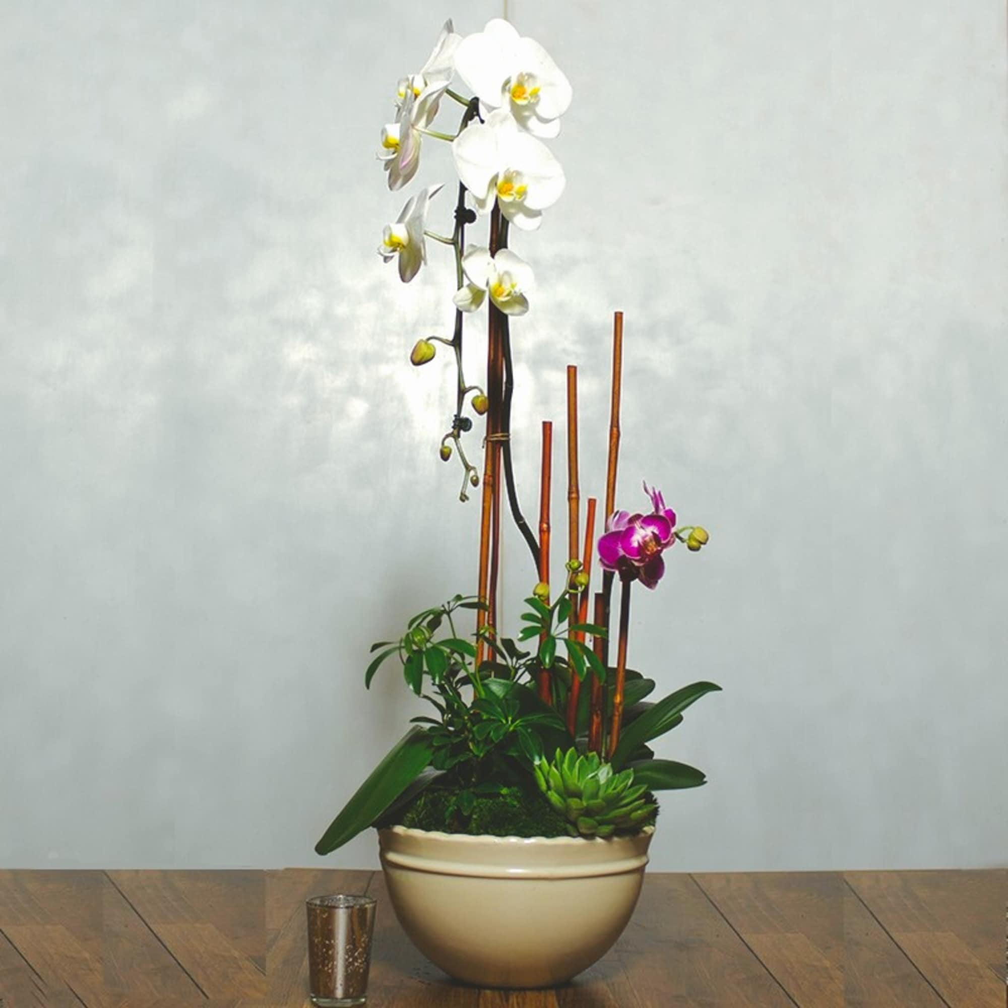 Tall orchid arrangement in a beige bowl planter with bamboo stakes