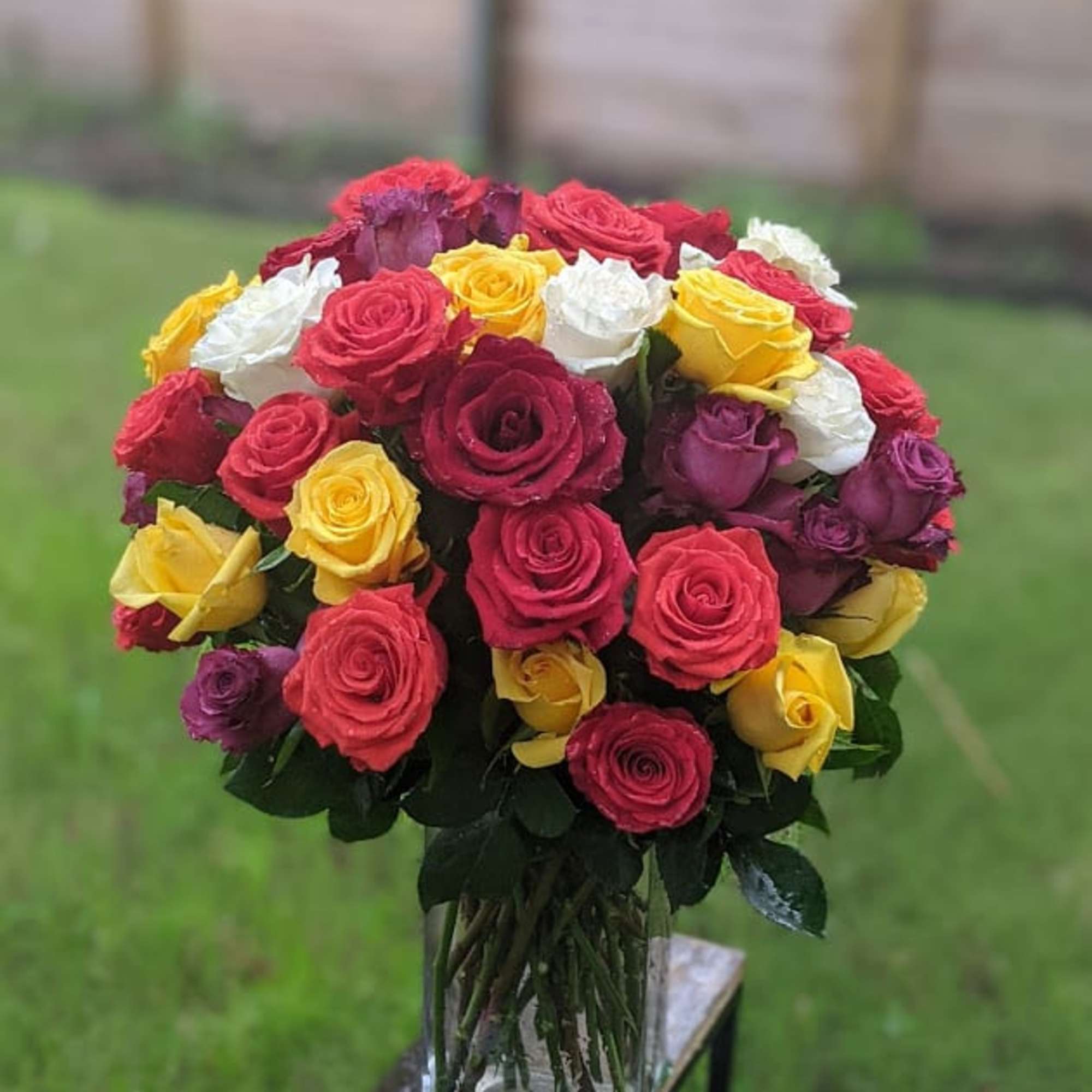 call for 50 mix premium roses?
You got it.
WOW her for sure.