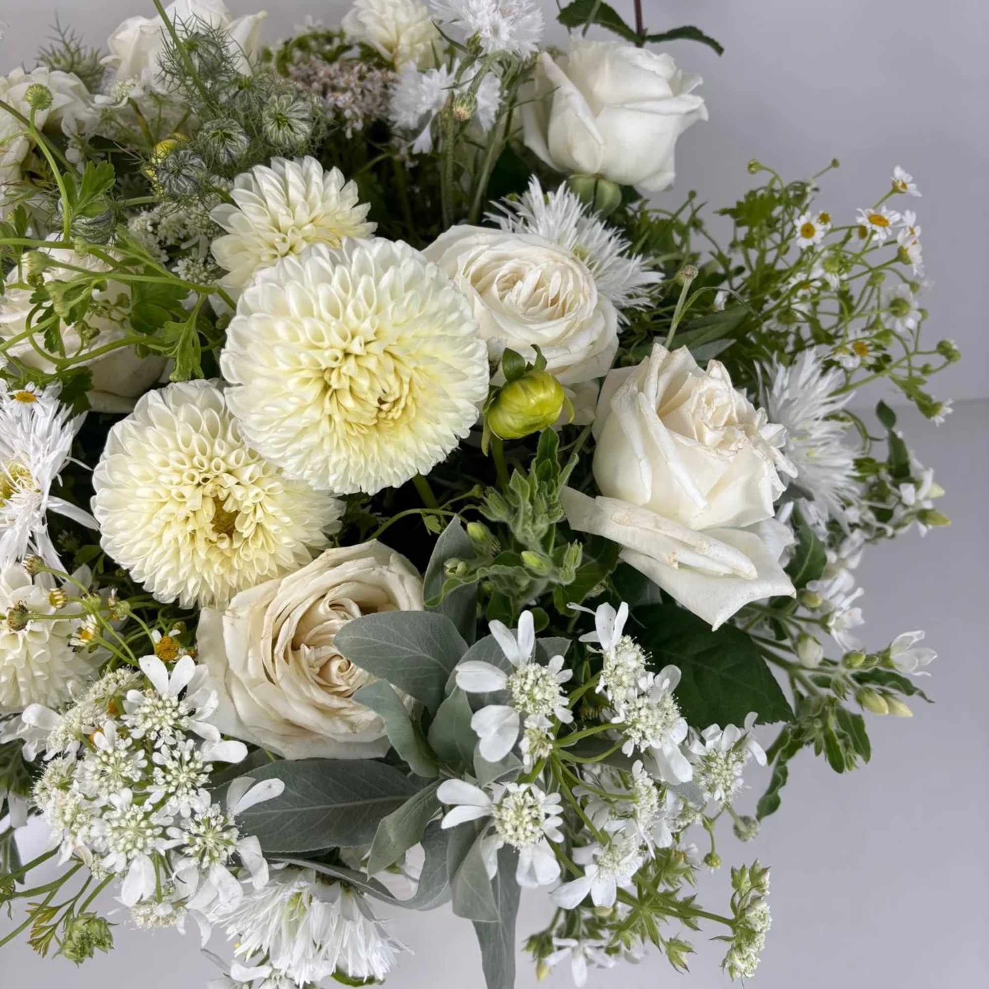 White roses and pale cream dahlias in a loose bouquet with small white filler flowers