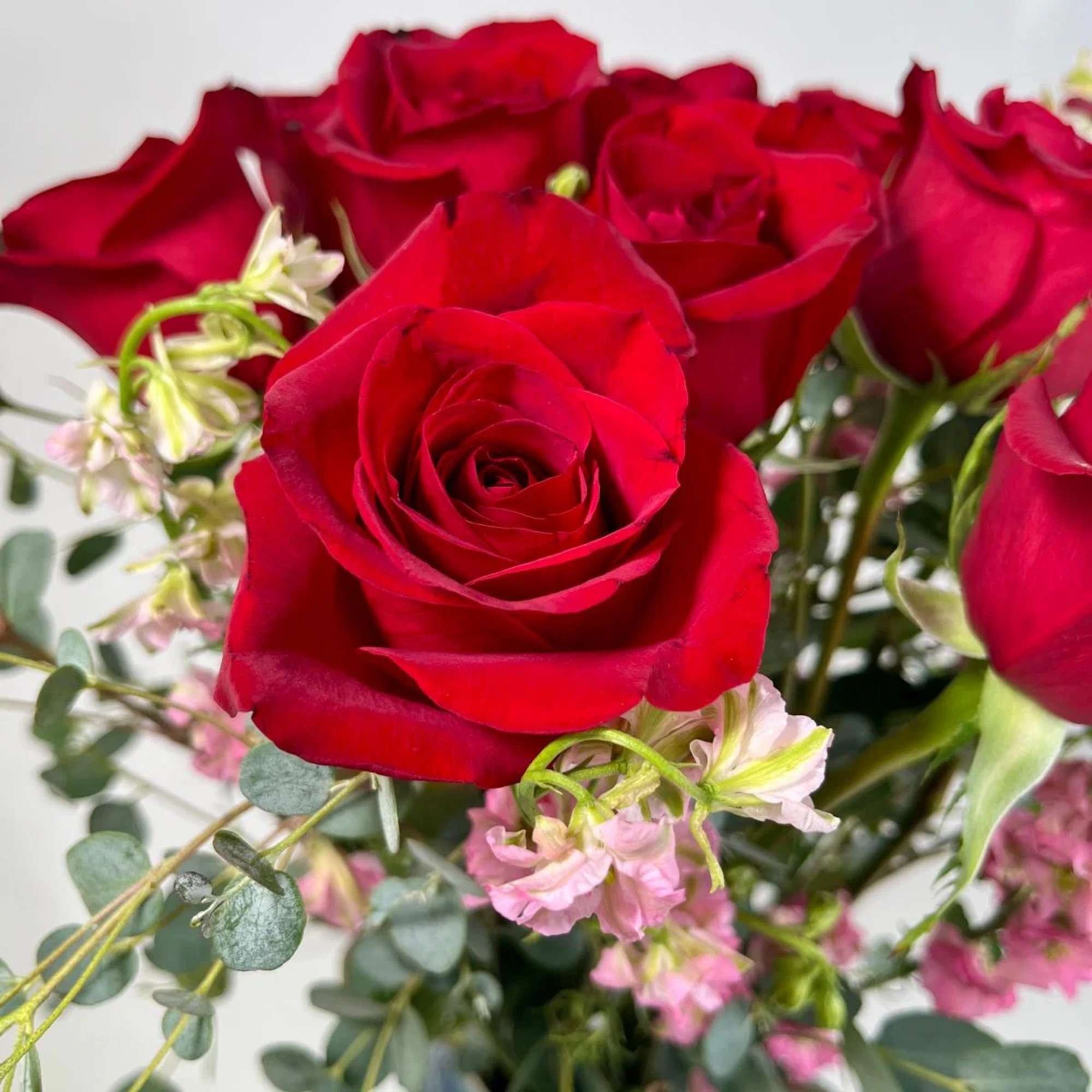 Bouquet of red roses with small pink filler flowers and eucalyptus