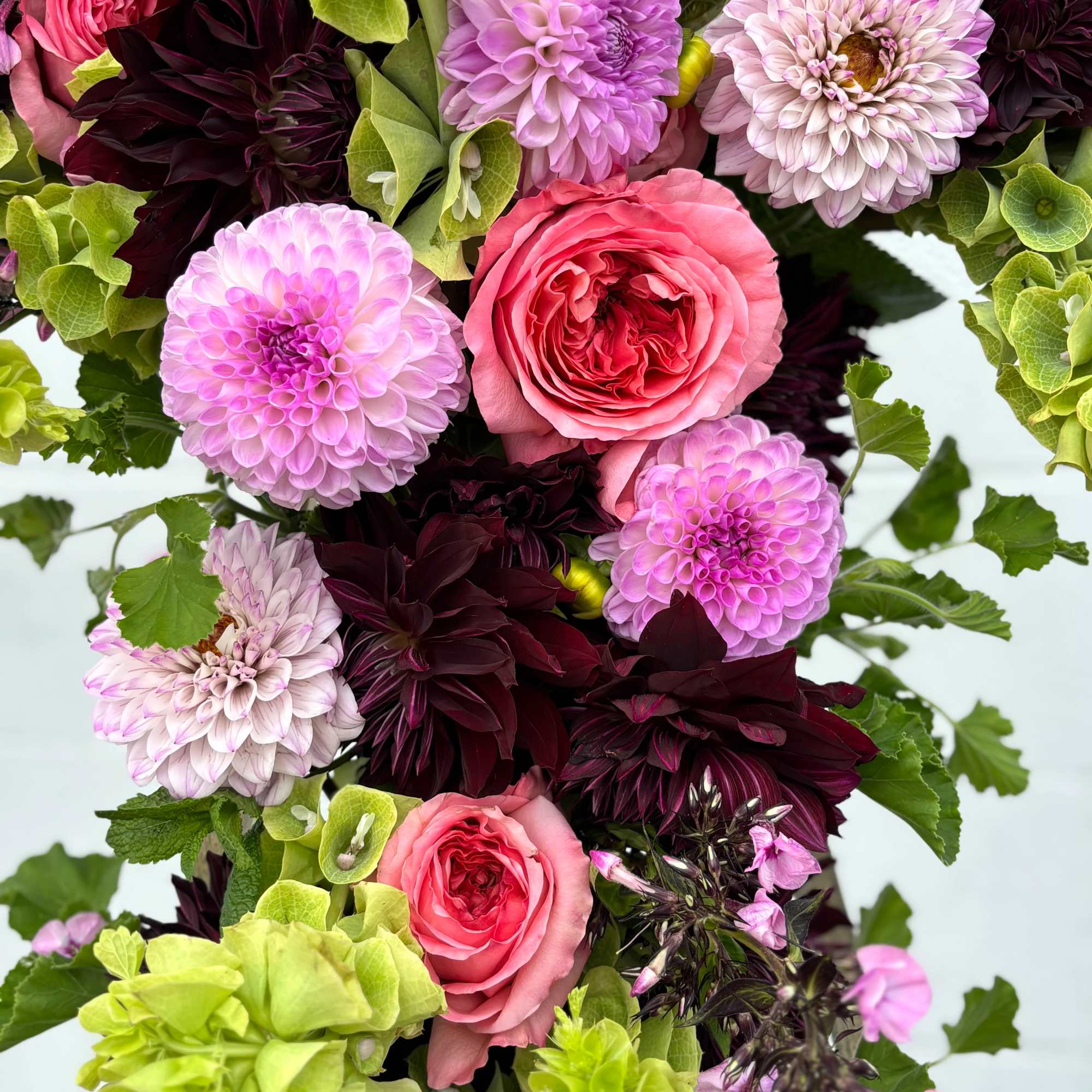 Pink roses and dahlias arranged with lime-green hydrangea and dark burgundy blooms
