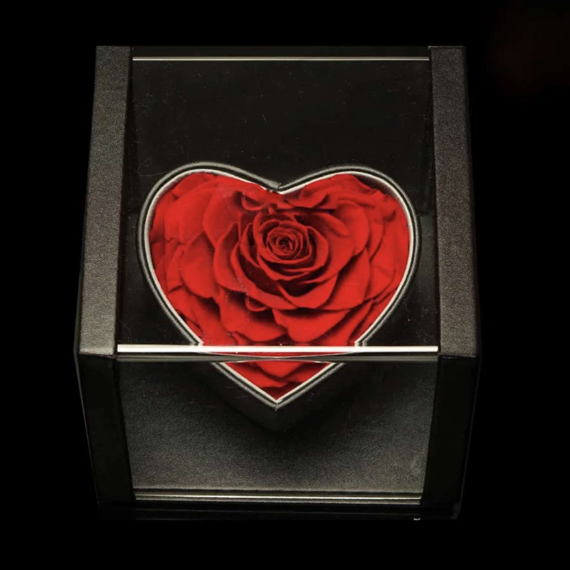 Red rose arranged in a heart-shaped black box