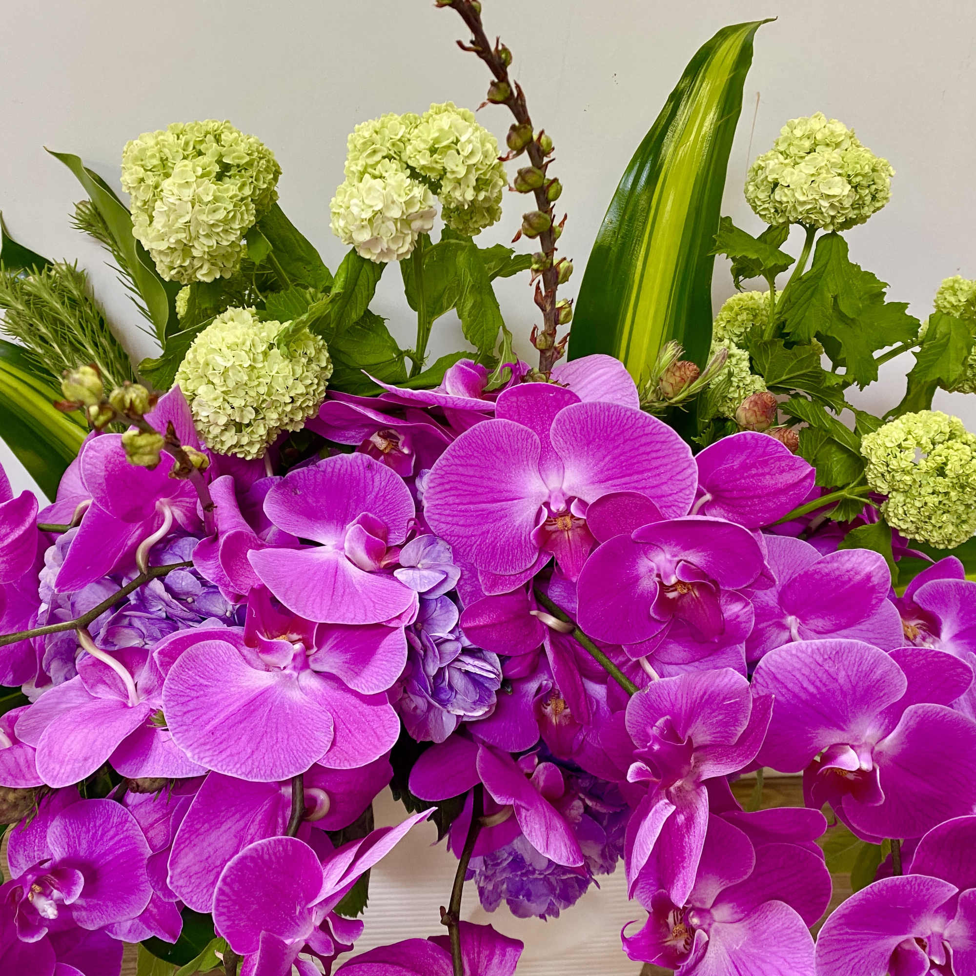 In a beautiful ceramic pot, combination of purple, hydrogen and purple orchids, photo 2 of 3