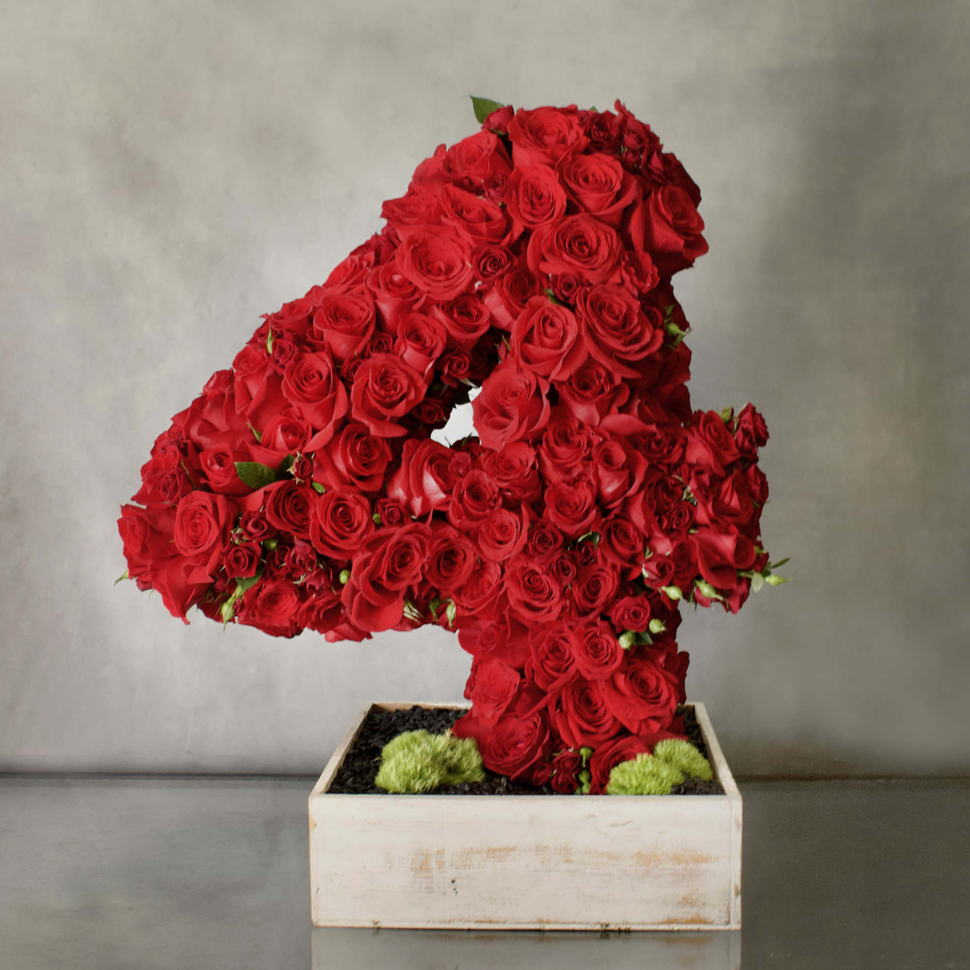 A beautiful number covered in various types of Red Roses, about 200