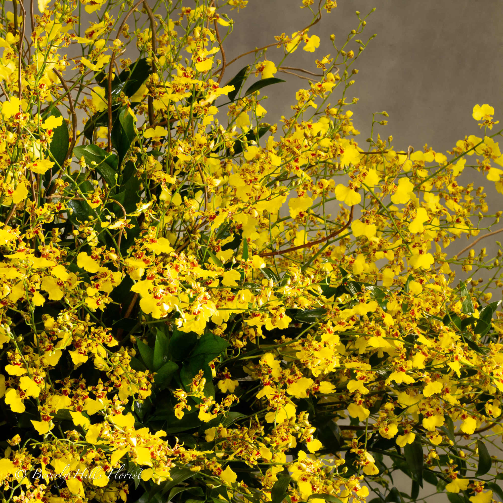 This exquisite creation will captivate anyone, evoking awe with its unique allure, photo 2 of 2