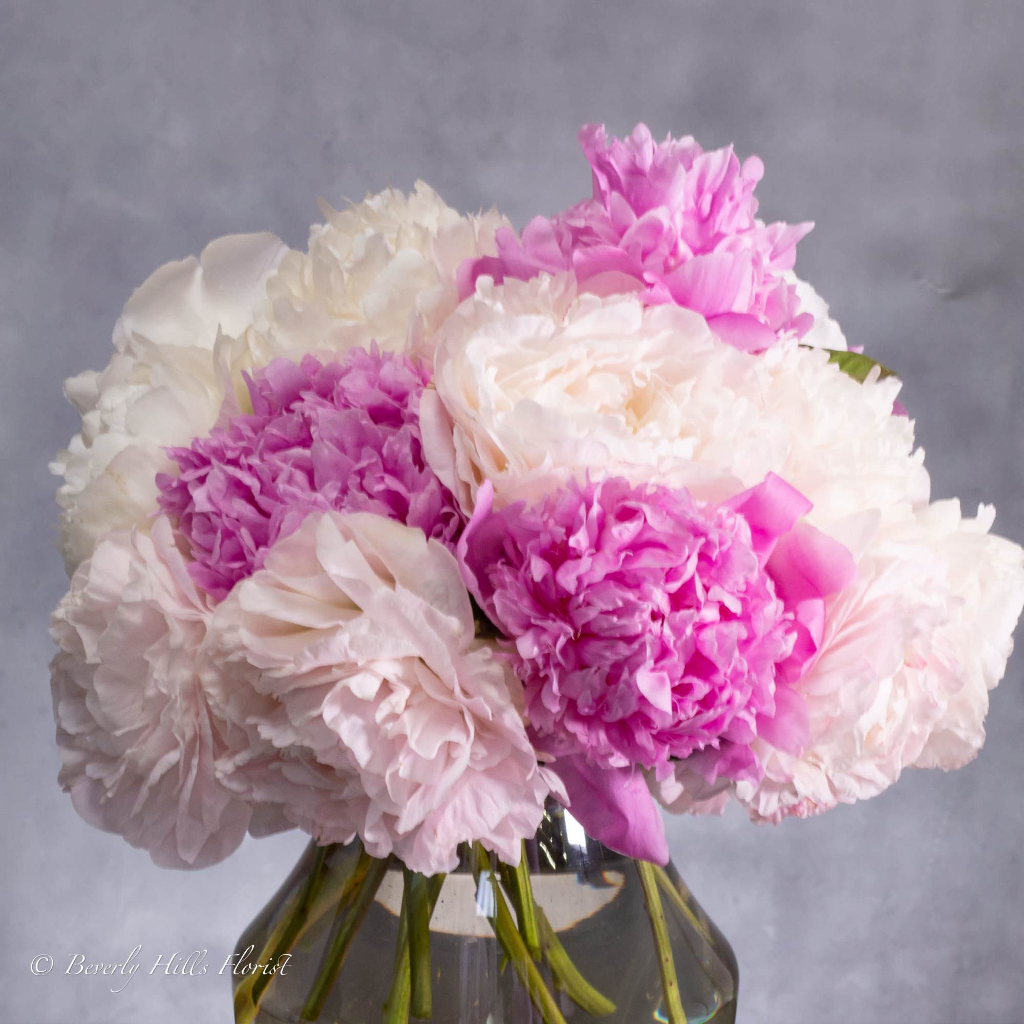 Available for Same-Day Delivery!

Nestled within a sleek vase, the Ethereal Elegance arrangement, photo 2 of 2