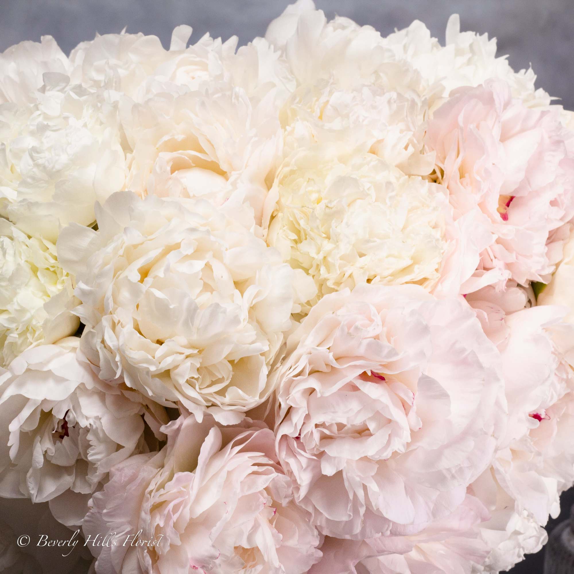 Same day delivery from your local florist! Delight in the ethereal beauty, photo 2 of 2