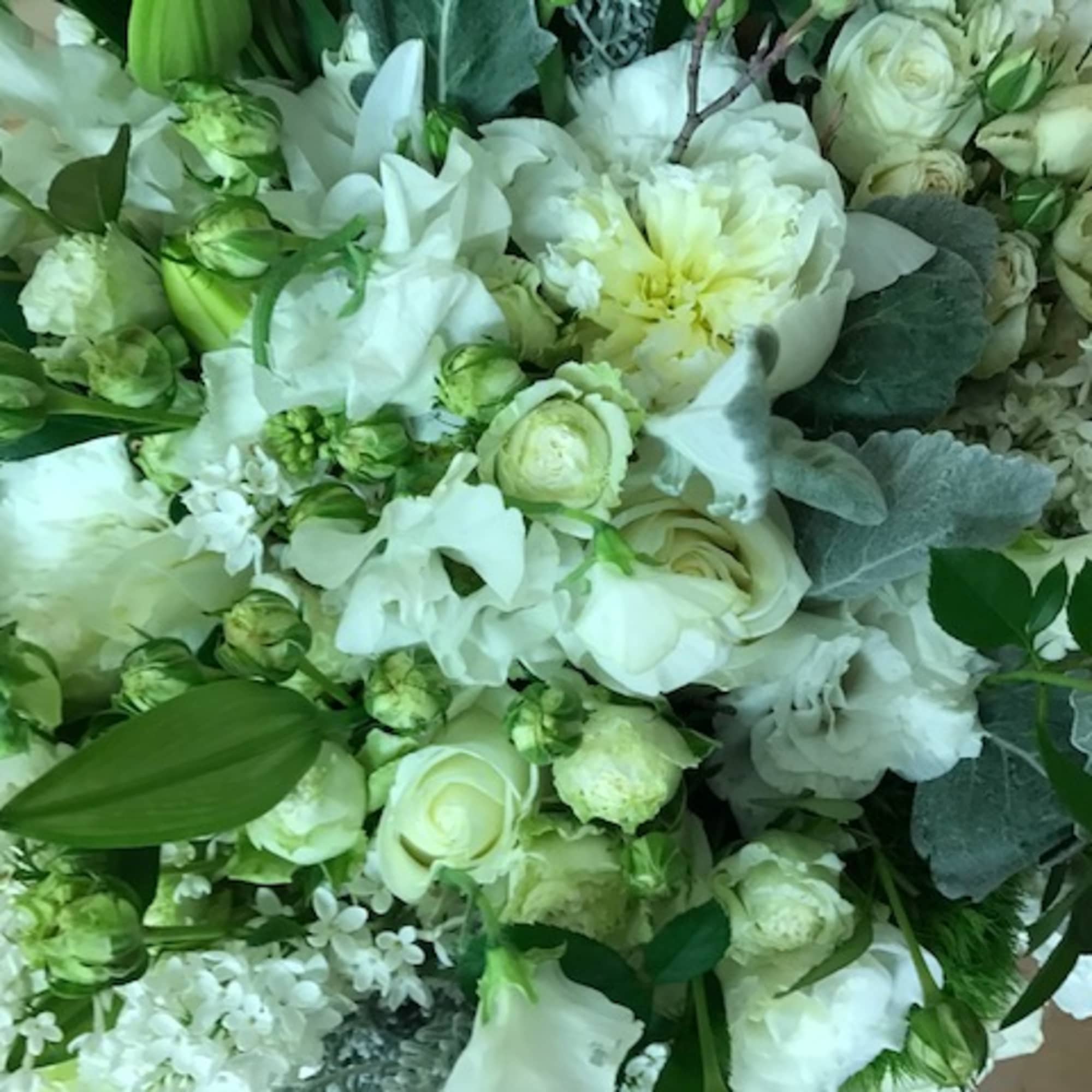 Elegant white medley presented in an 8" x 8" clear glass or