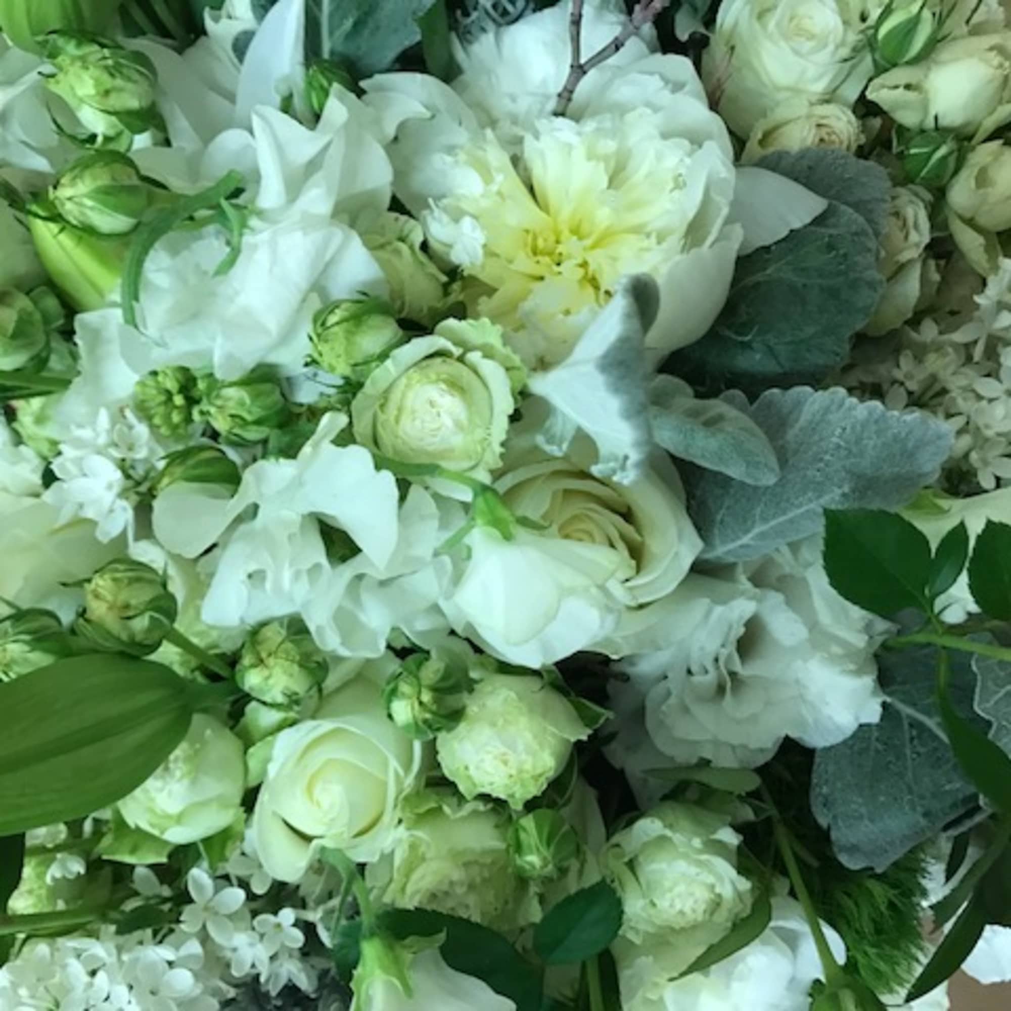 Elegant white medley presented in an 8" x 8" clear glass or, photo 5 of 8