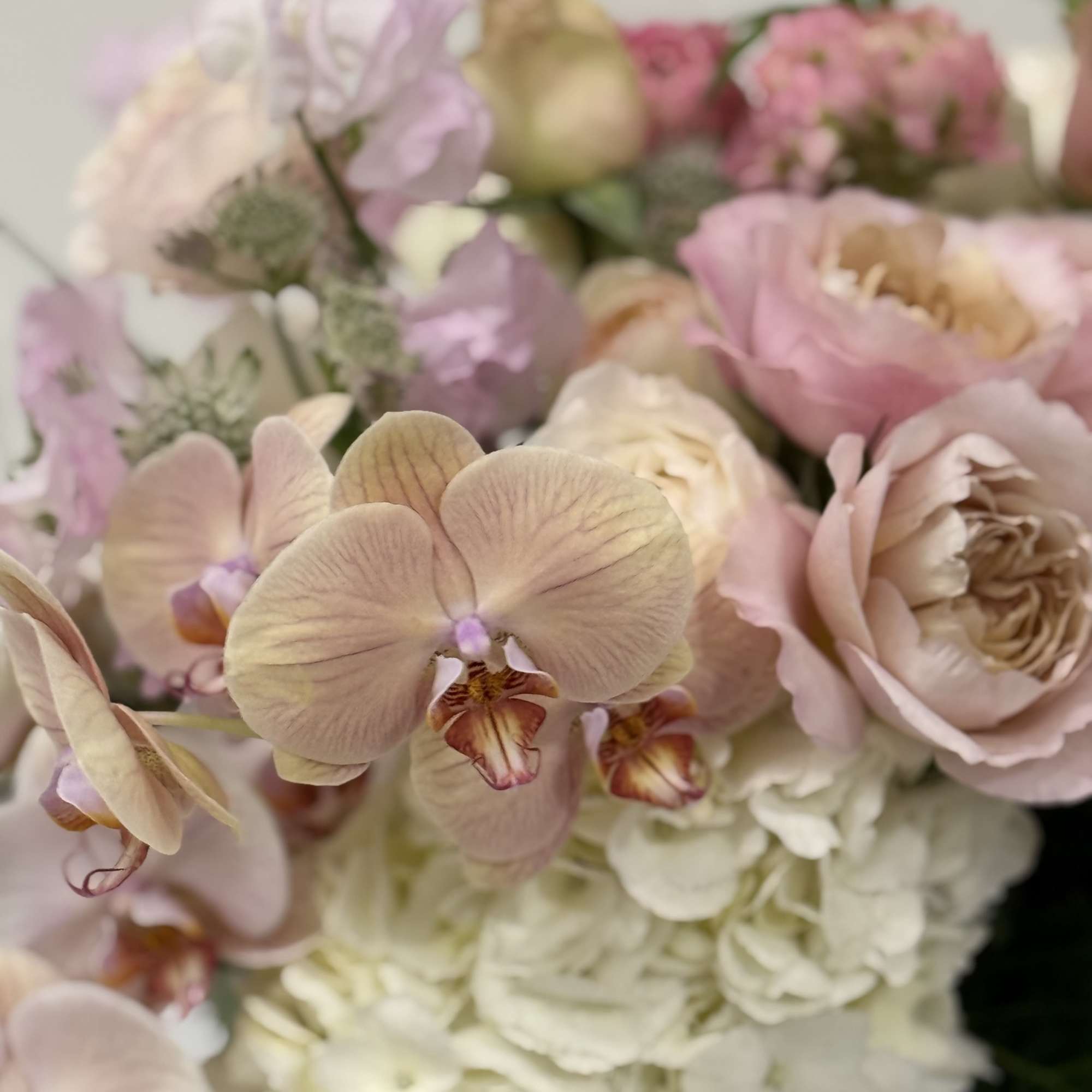 An English garden design of premium flowers focusing on a blush, peach, photo 4 of 7