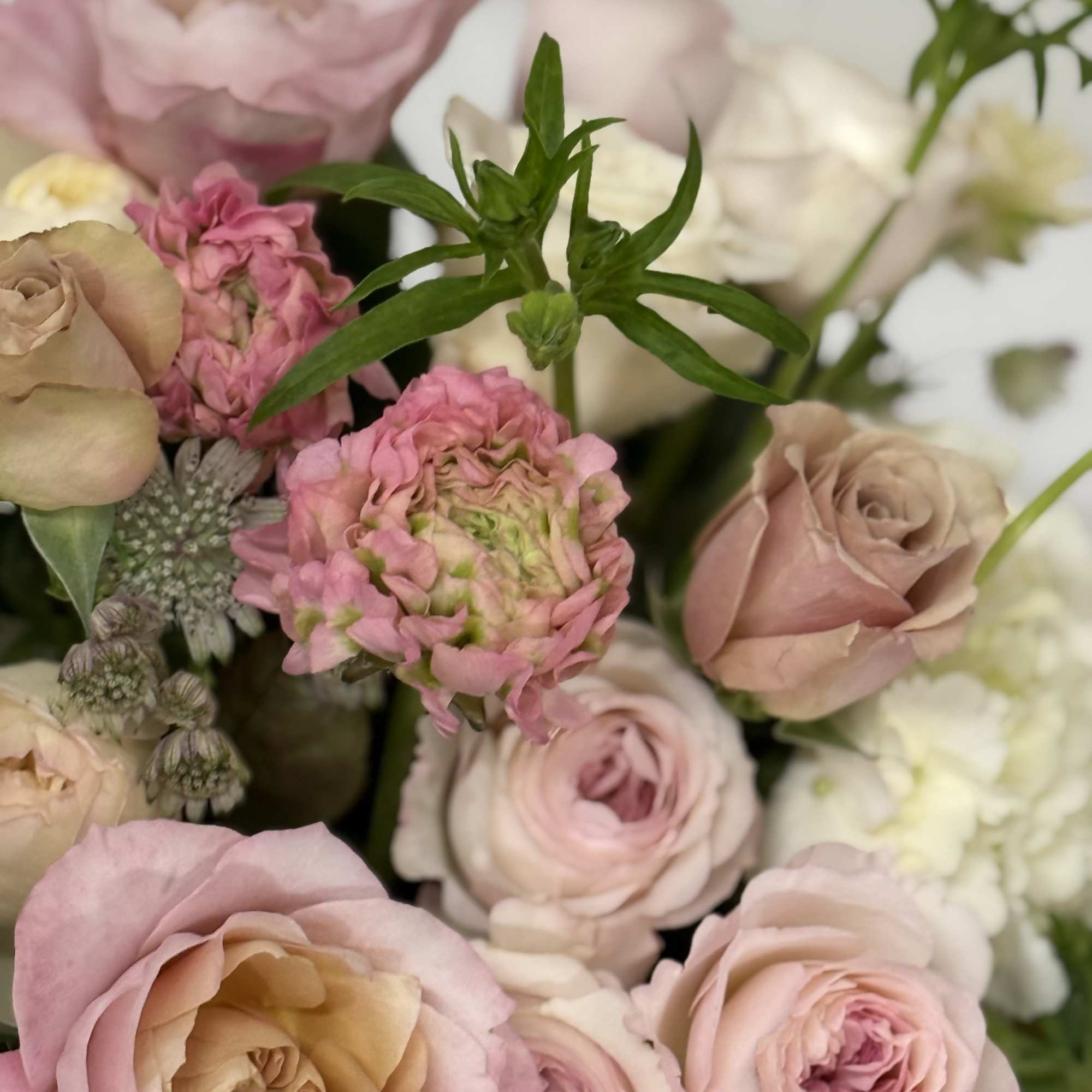 Bouquet of blush and cream roses with pink blooms