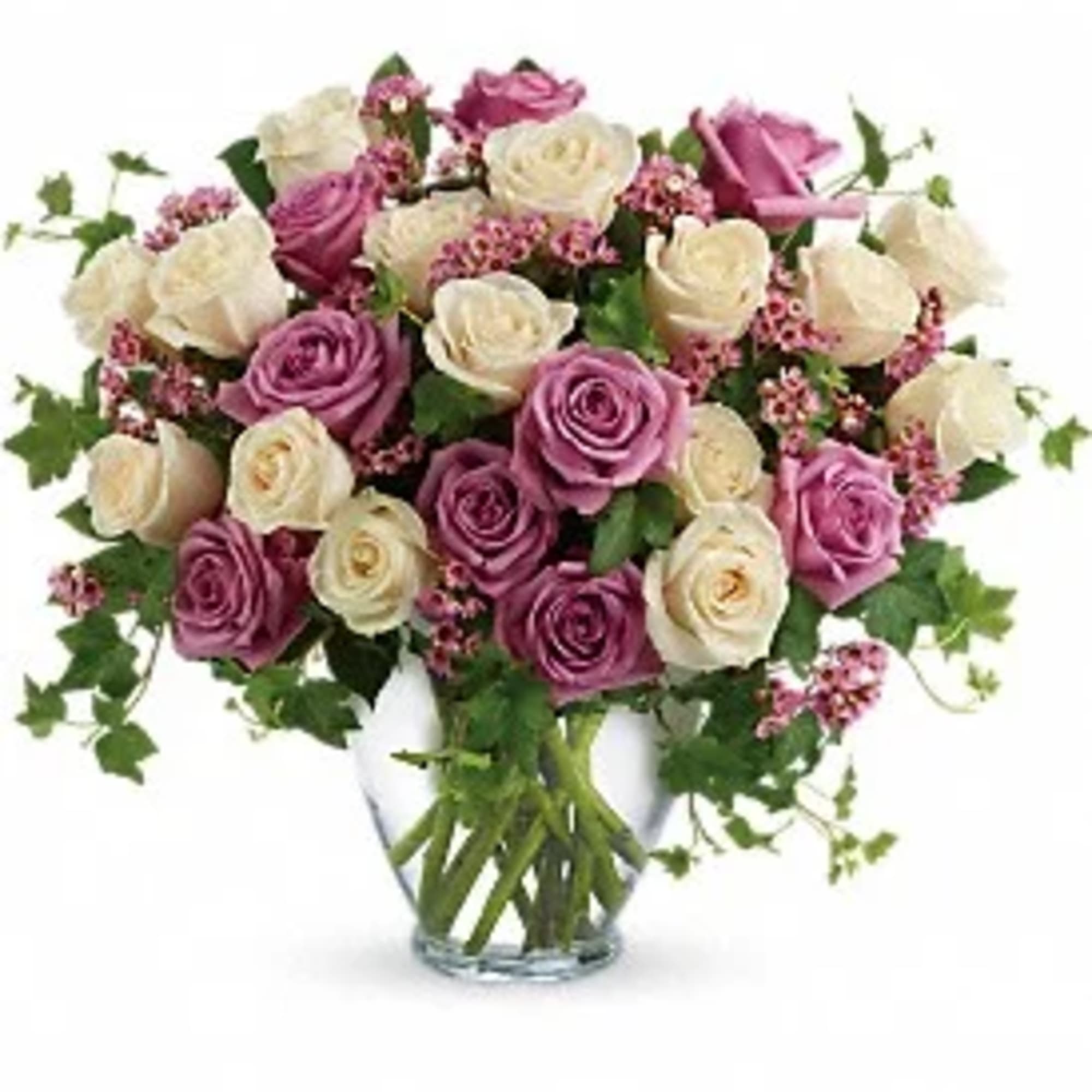 A dozen cream roses, lavender wax flower arranged in a serenity glass