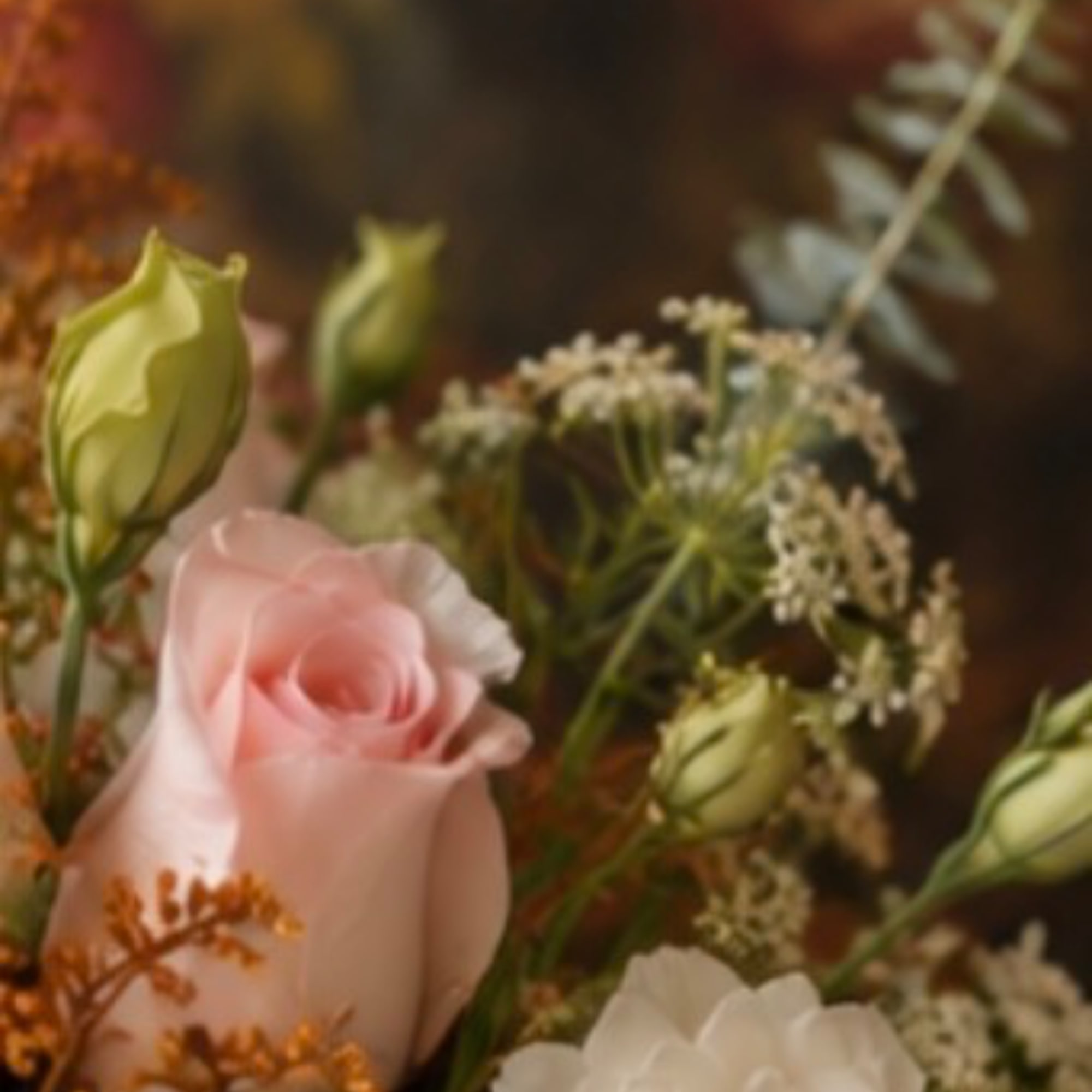 Pink rose with white buds and small filler flowers