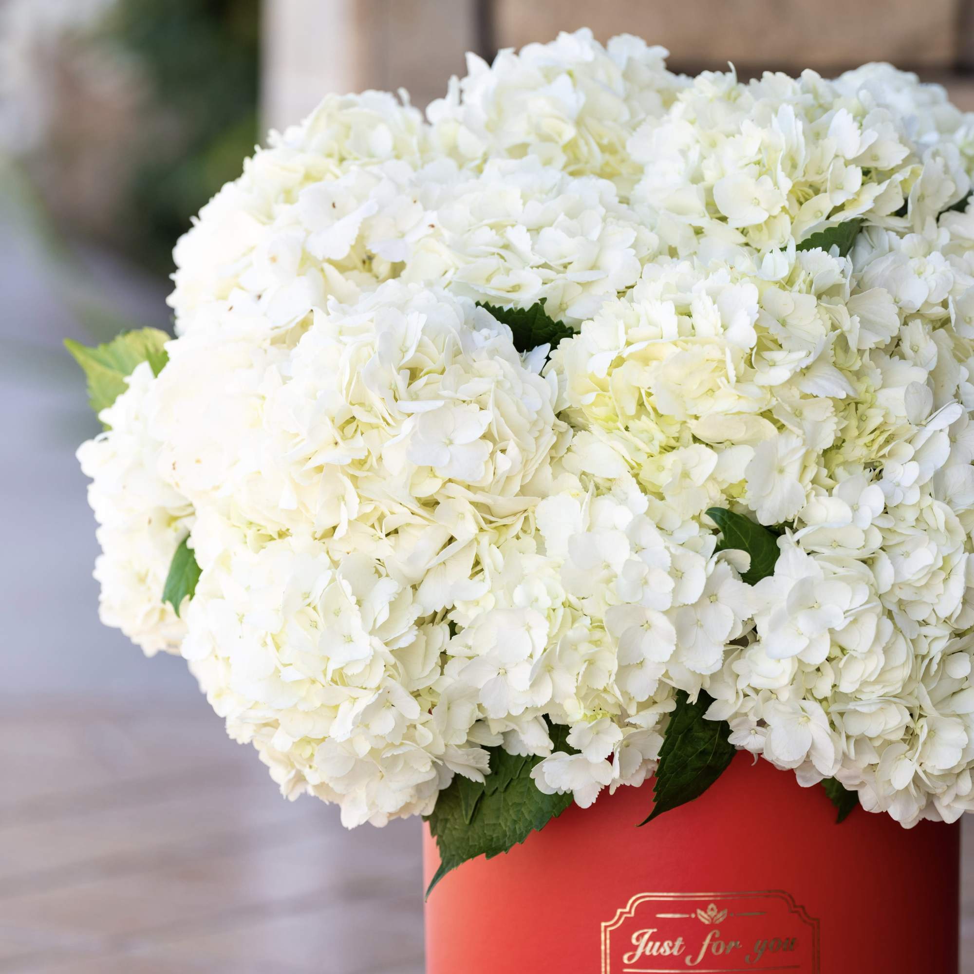 White hydrangea bouquet in a red gift box