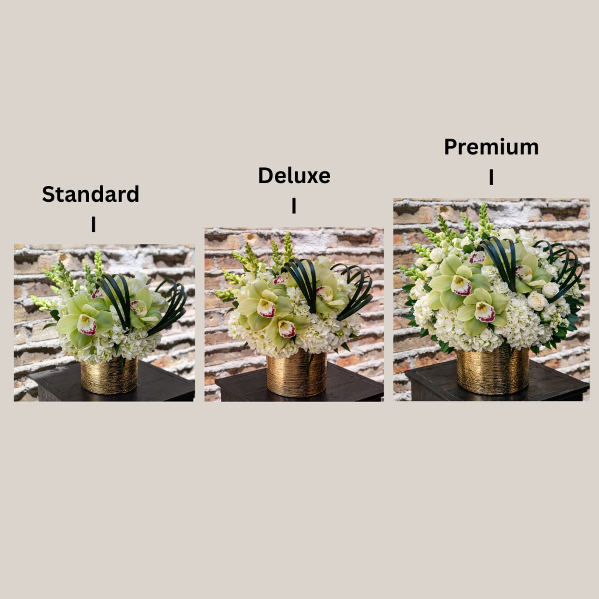 Three orchid arrangements in gold containers labeled standard, deluxe, and premium.