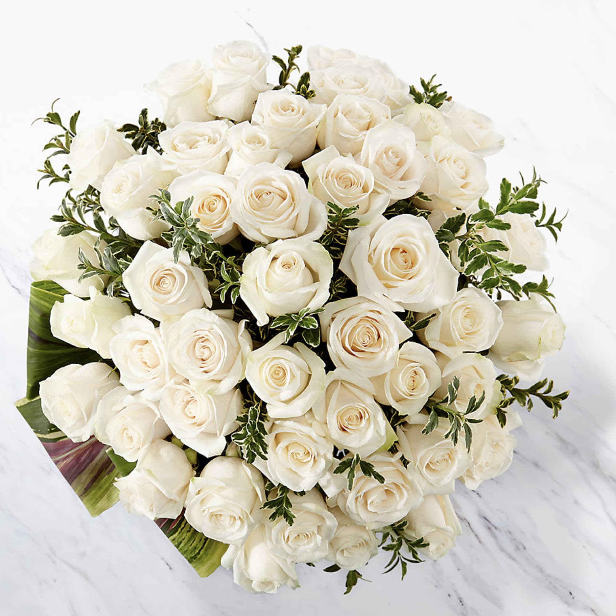 Large bouquet of white roses with green foliage on a white background