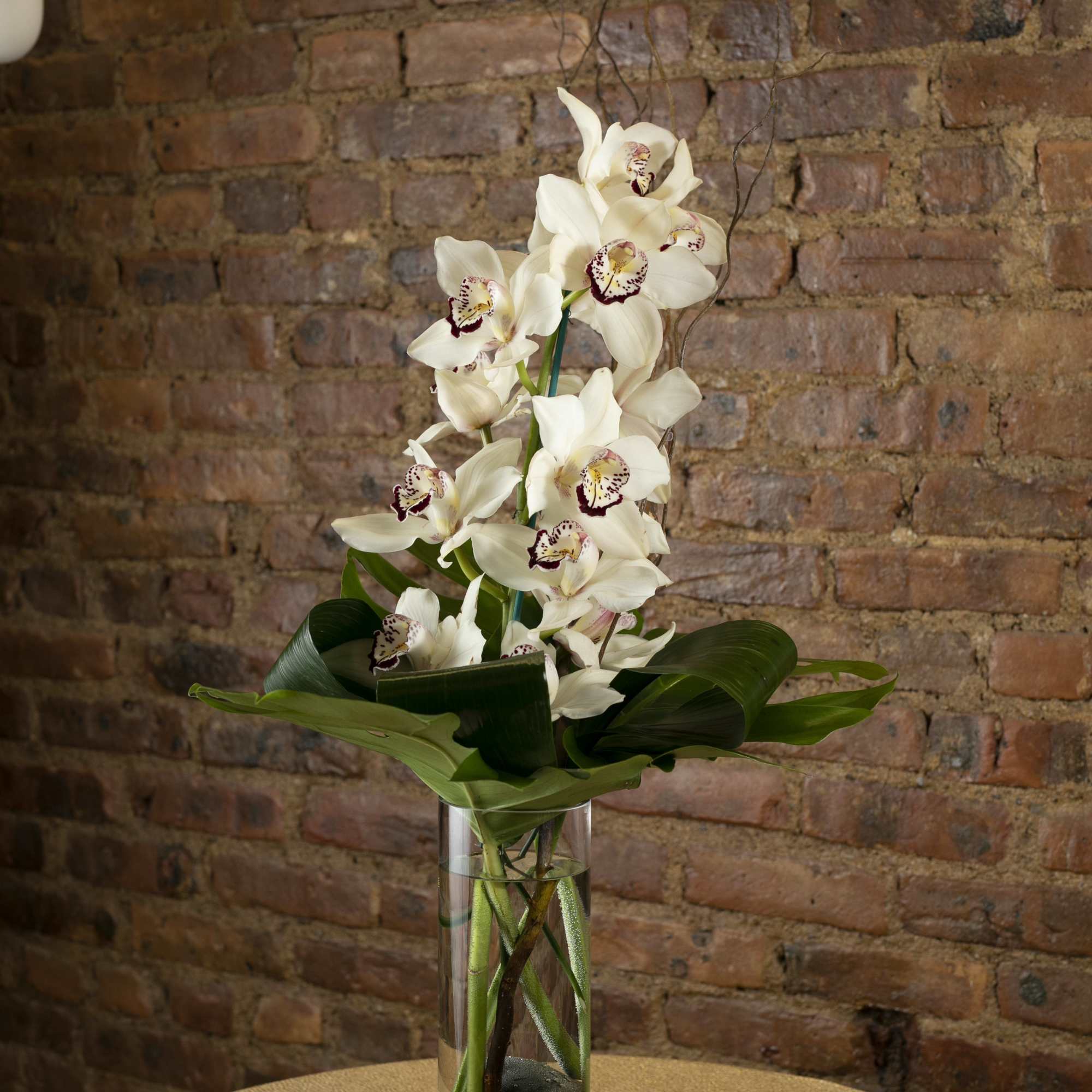 White orchids arranged in a tall glass vase