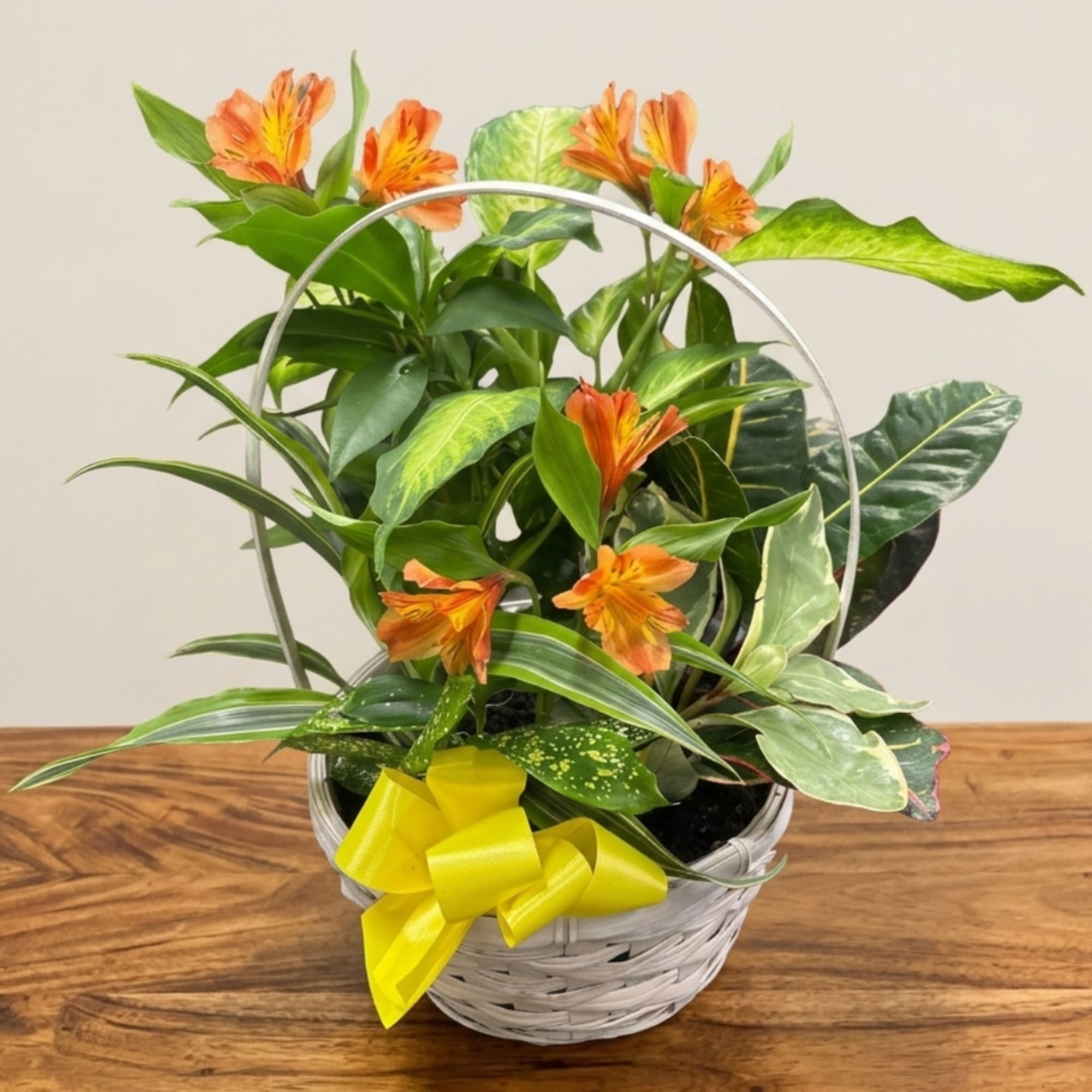 Potted plant arrangement with orange flowers in a white basket and yellow bow
