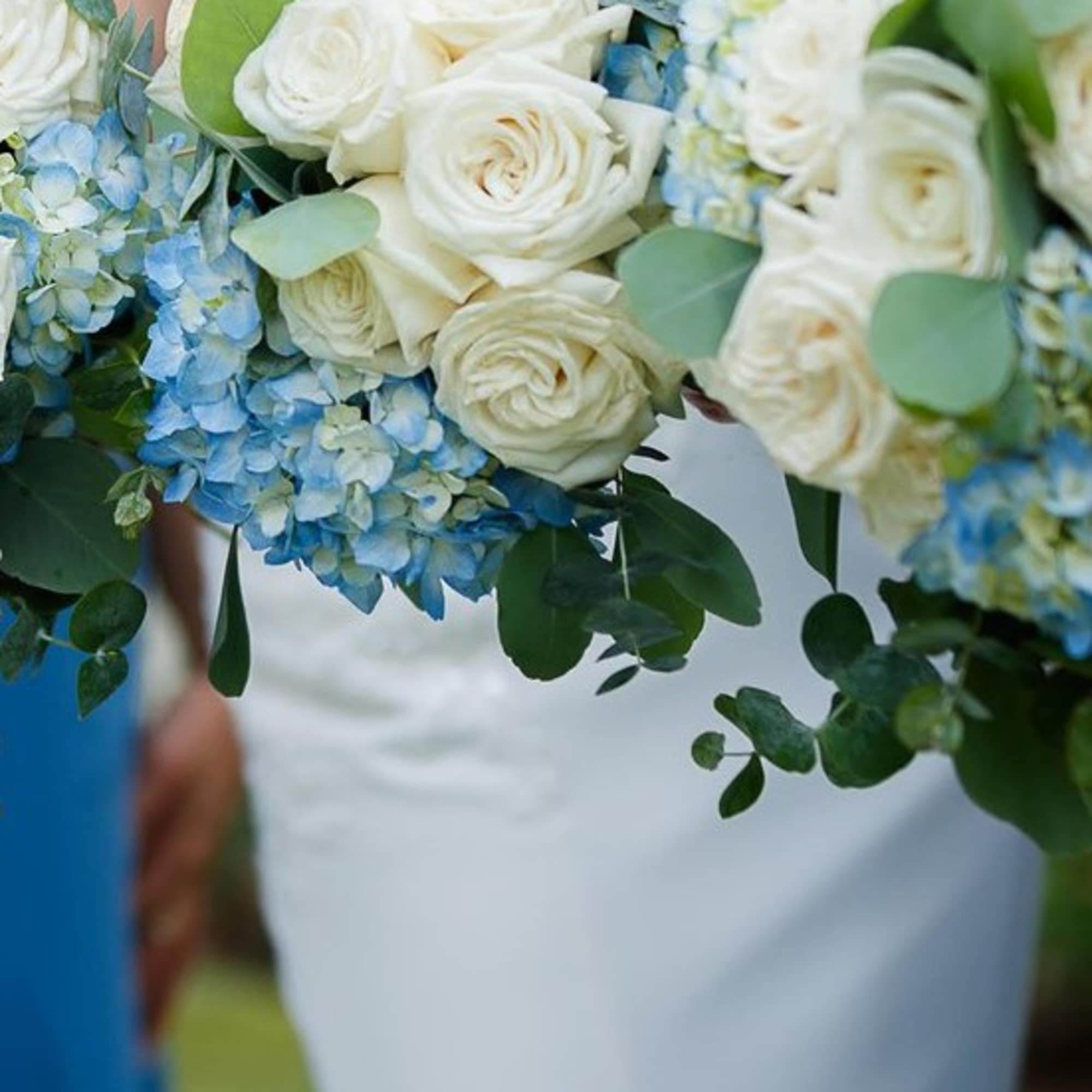 White roses and blue hydrangeas in a bridal bouquet