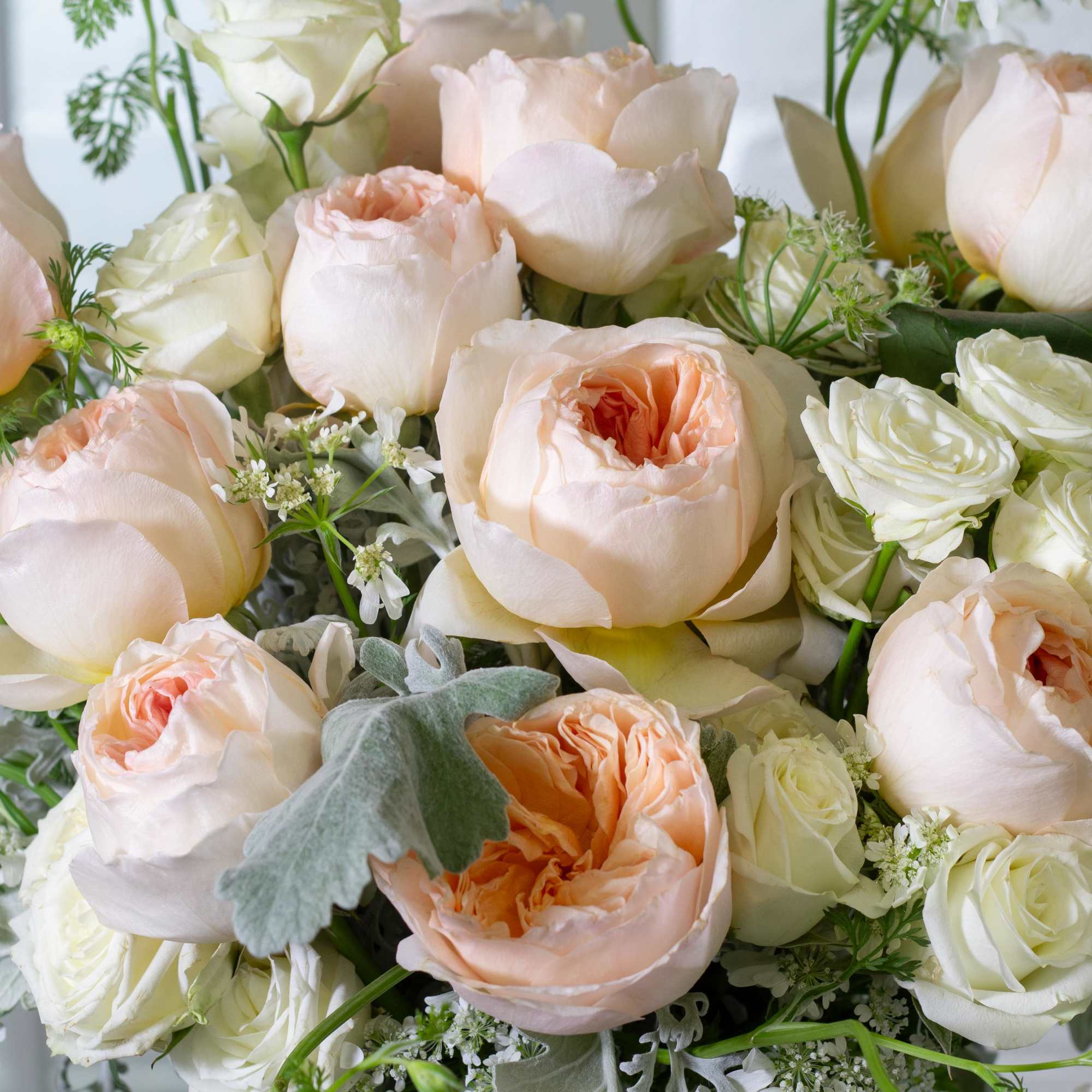 Bouquet of pale peach and white roses with soft greenery