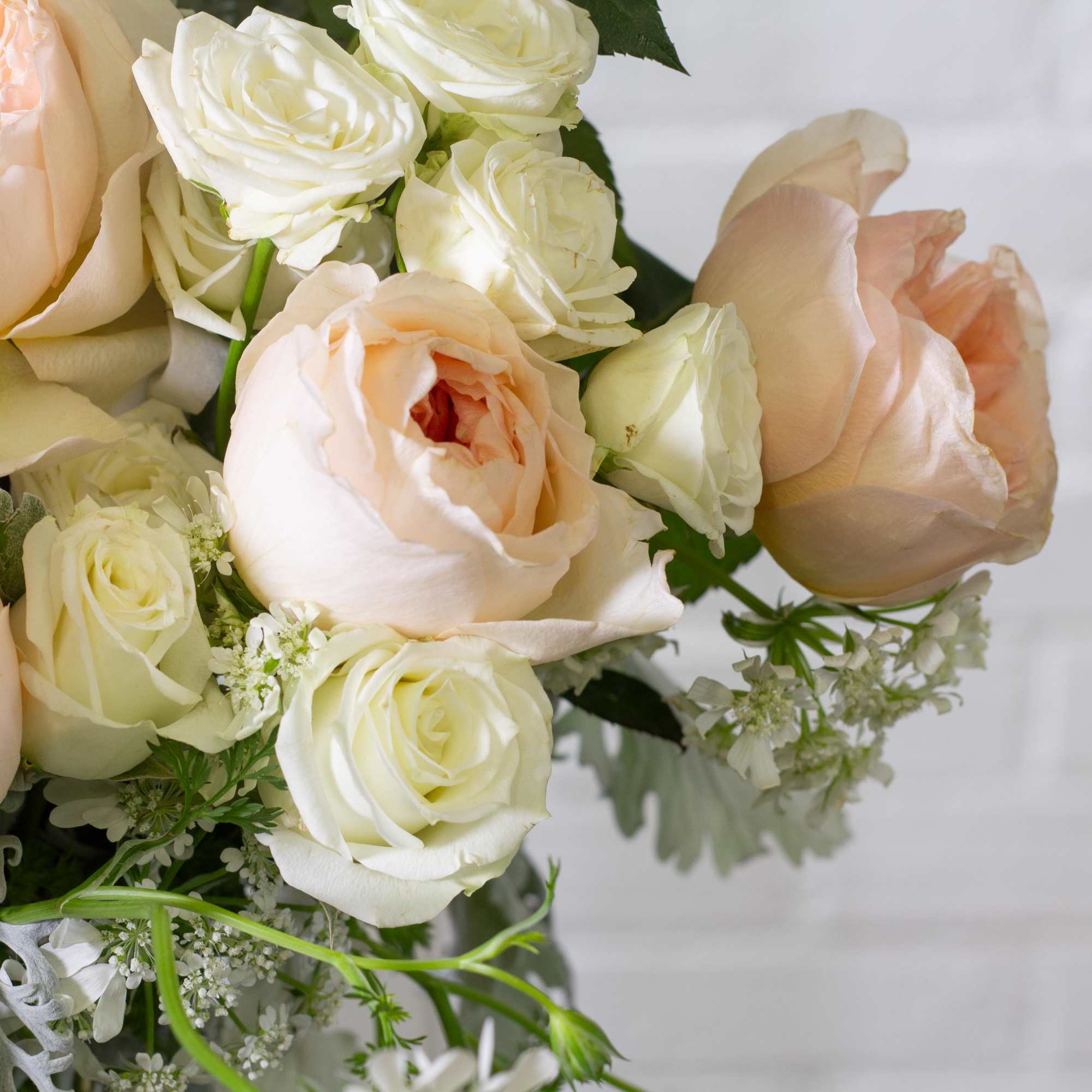Peach and white roses in a bouquet with small white filler flowers