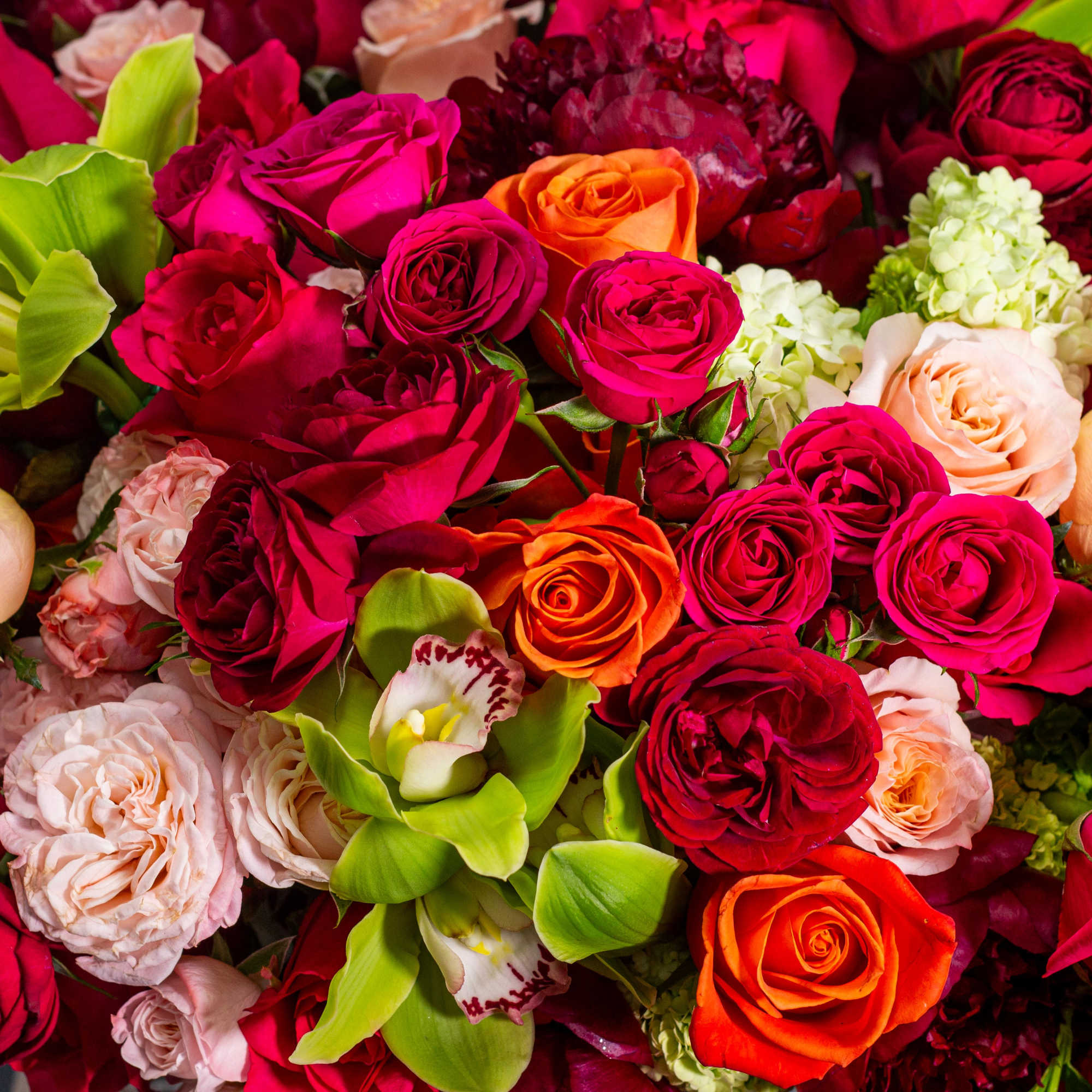 Dense bouquet of red, pink, peach, and orange roses with green orchids