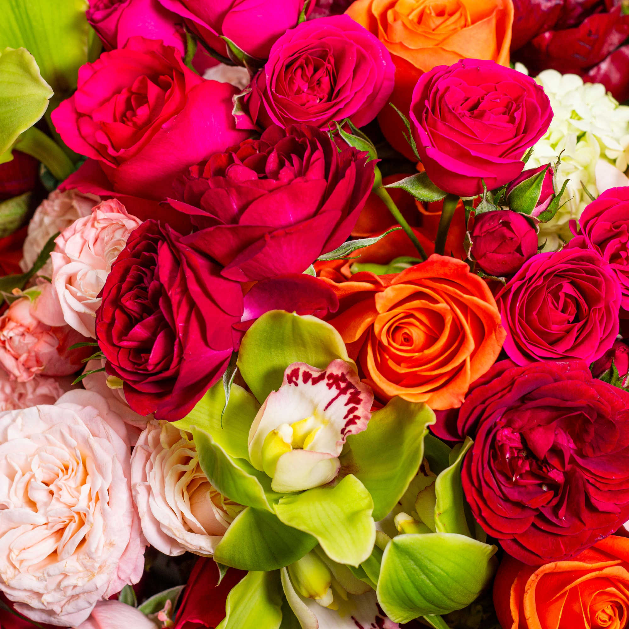Mixed bouquet of red, pink, peach, and orange roses with green orchids