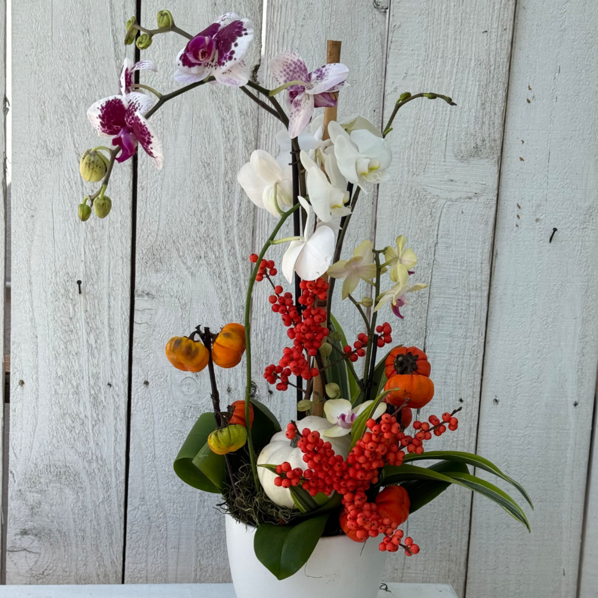 Tall orchid arrangement with red berries and small pumpkins in a white pot