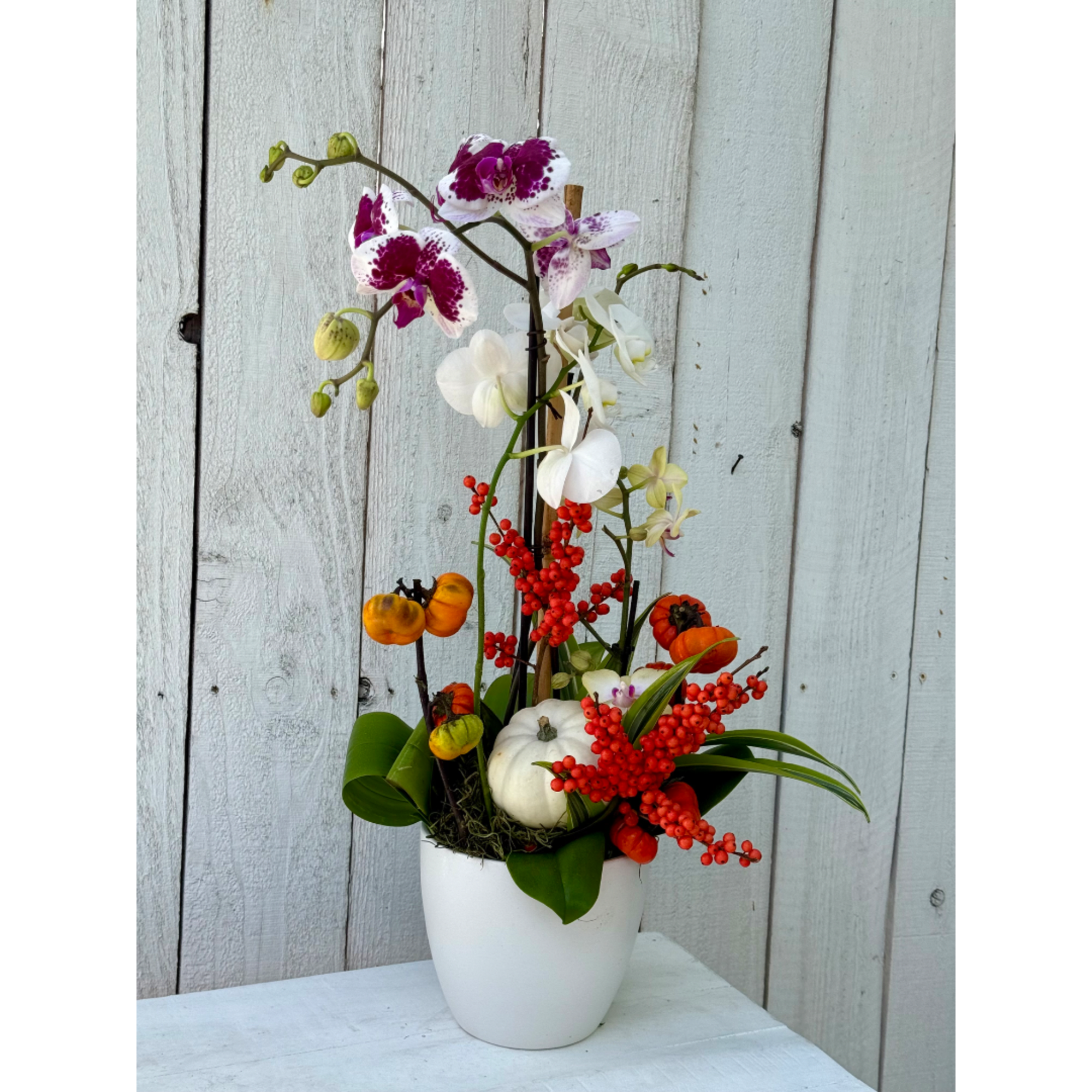 Tall orchid arrangement in a white pot with red berries and small pumpkins