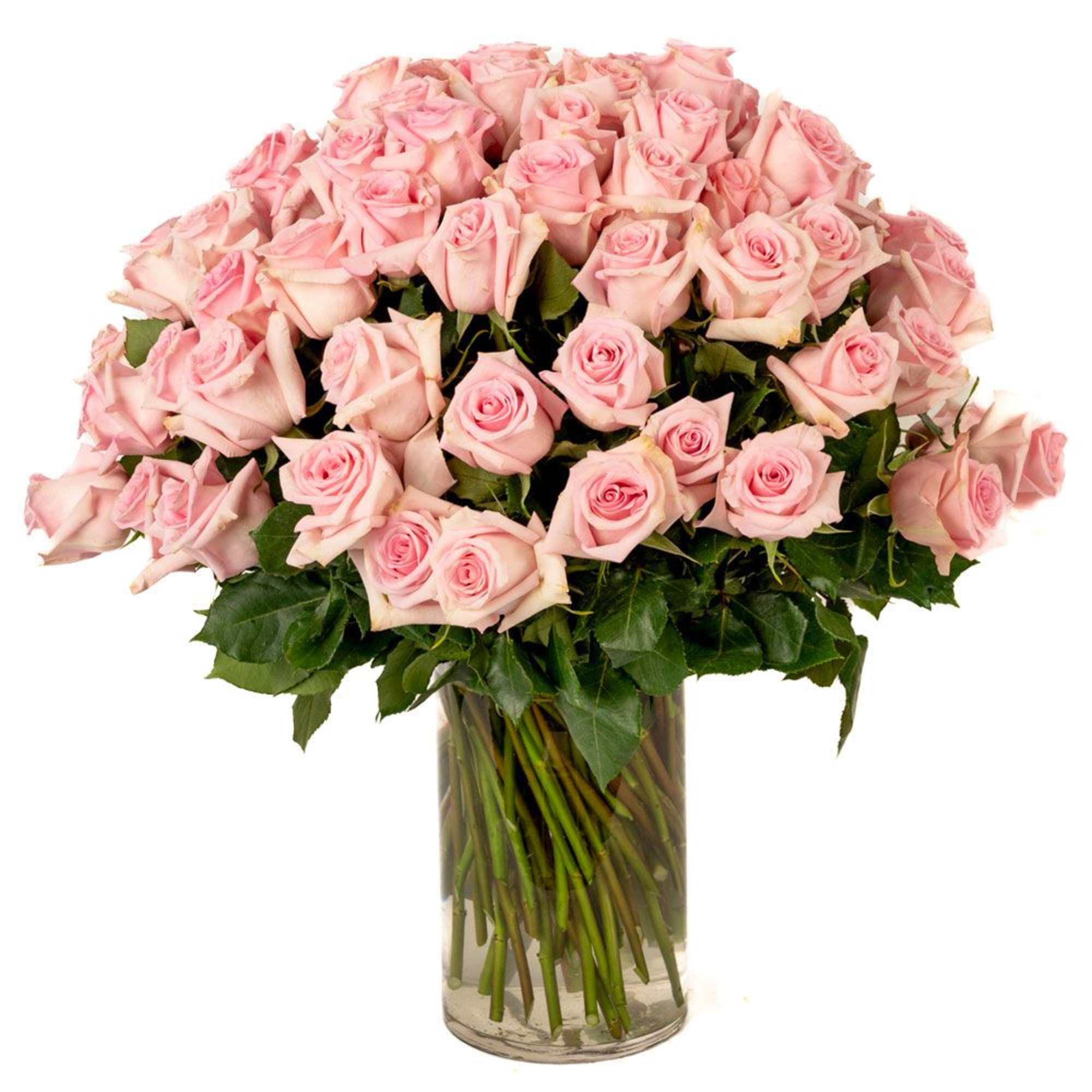 Large arrangement of light pink roses in a clear glass cylinder vase