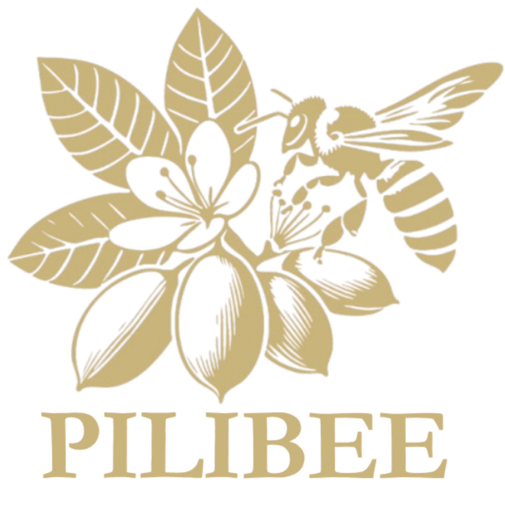PILIBEE logo with a stylized flower and leaves