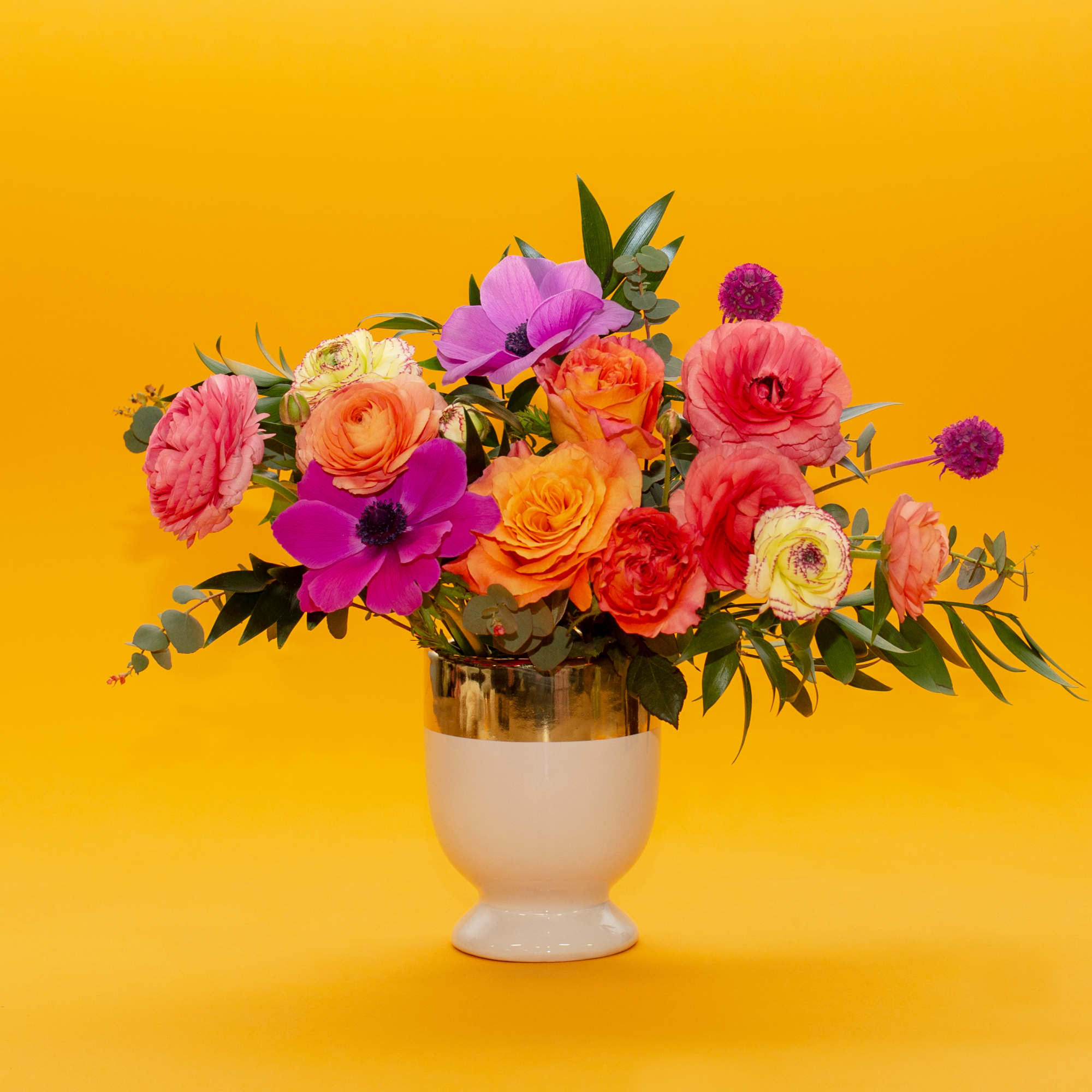 Colorful bouquet of roses and anemones in a white vase