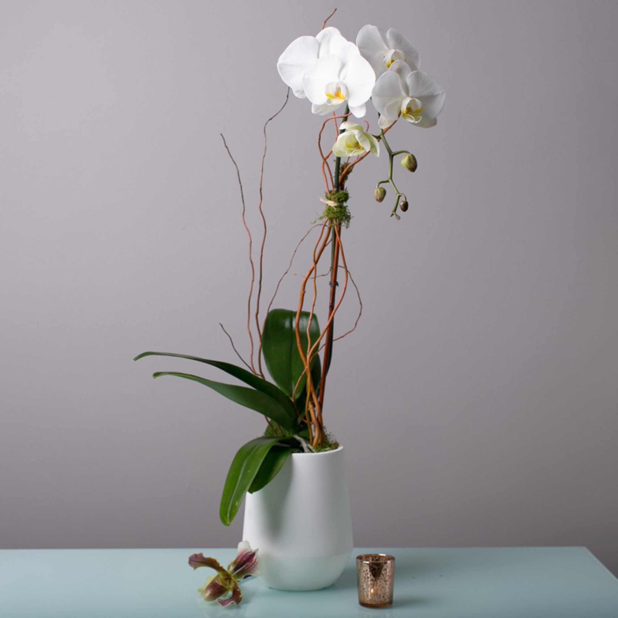 White orchid arrangement in a white vase with decorative branches