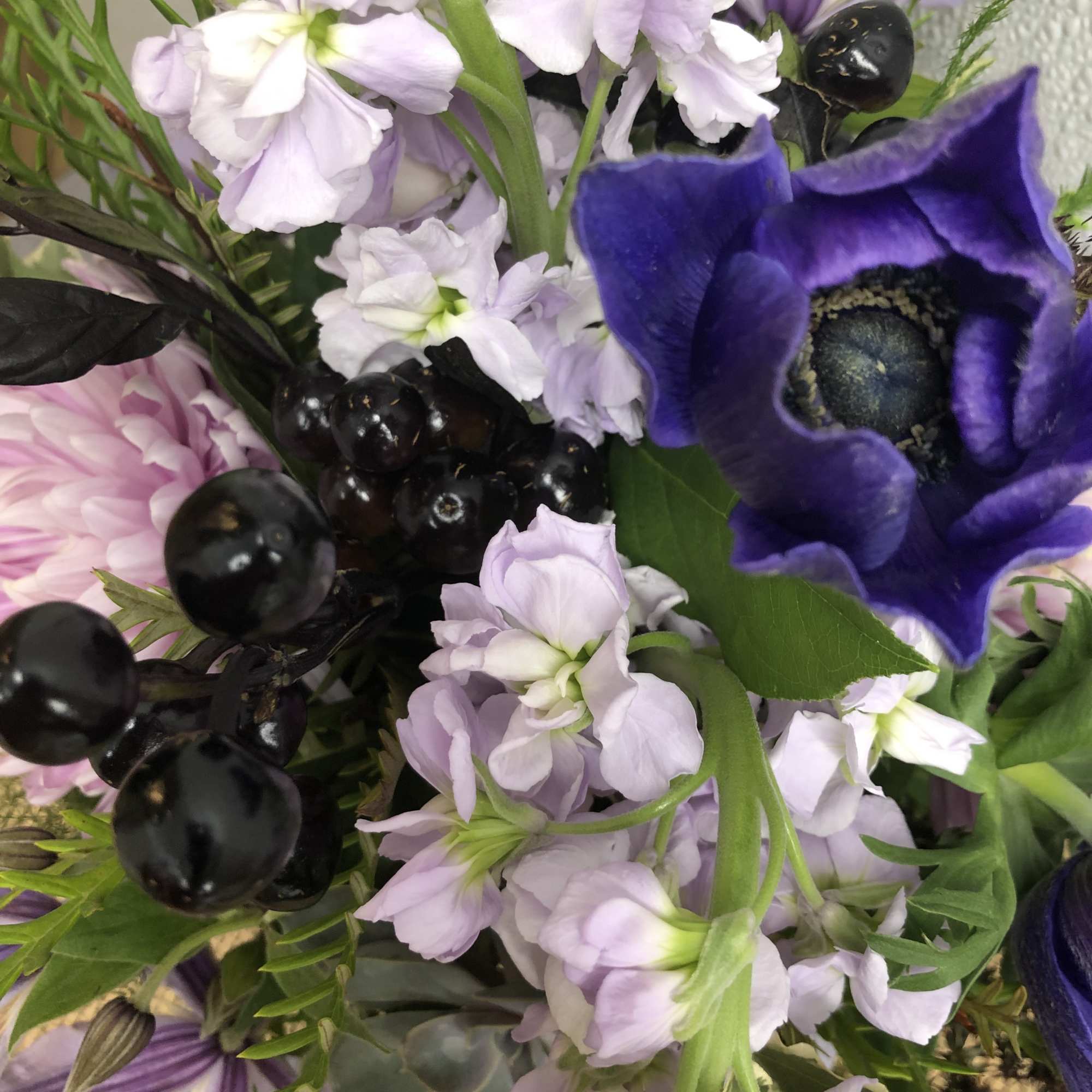 Close-up of purple and pale pink flowers with black berry accents