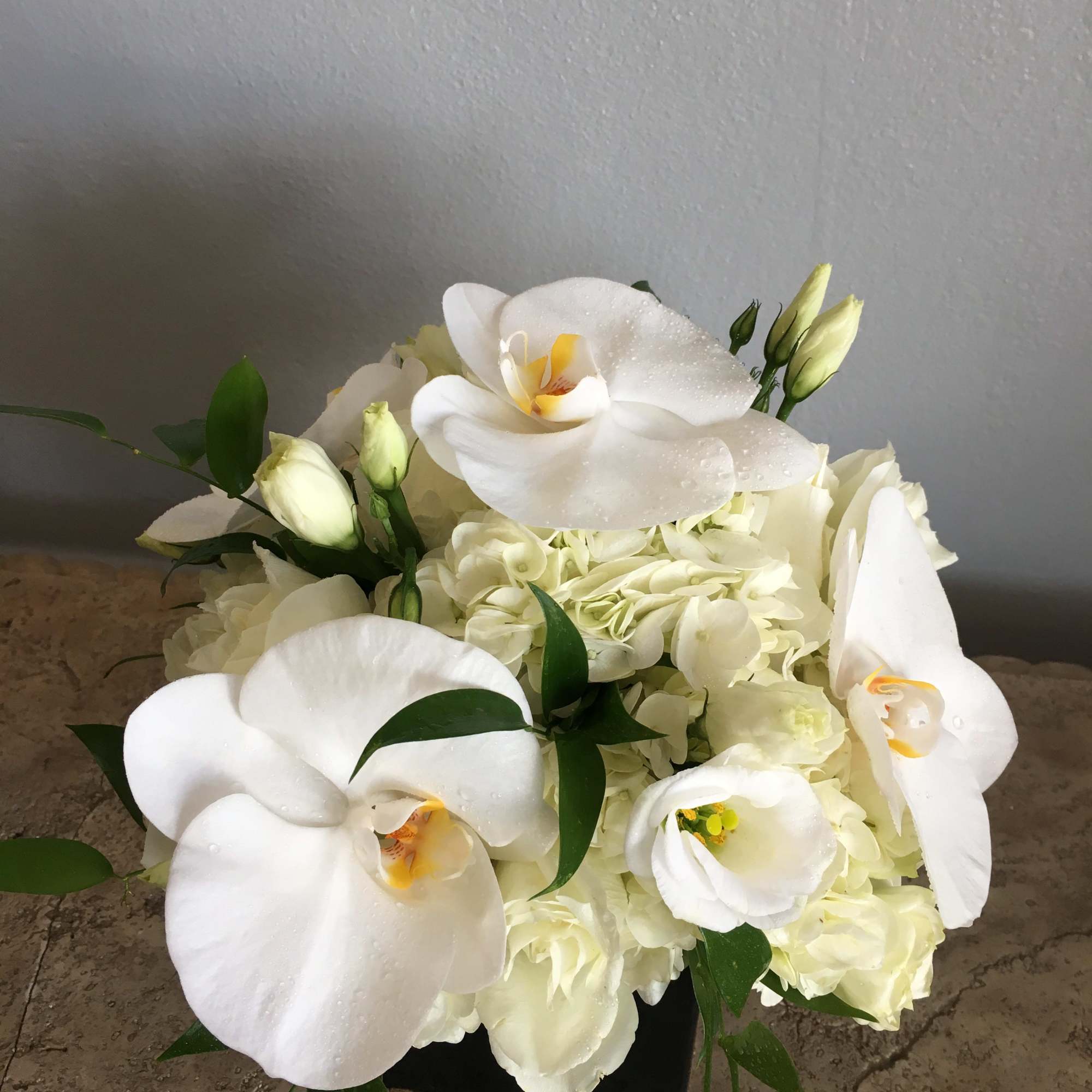 White orchid and hydrangea arrangement in a black container
