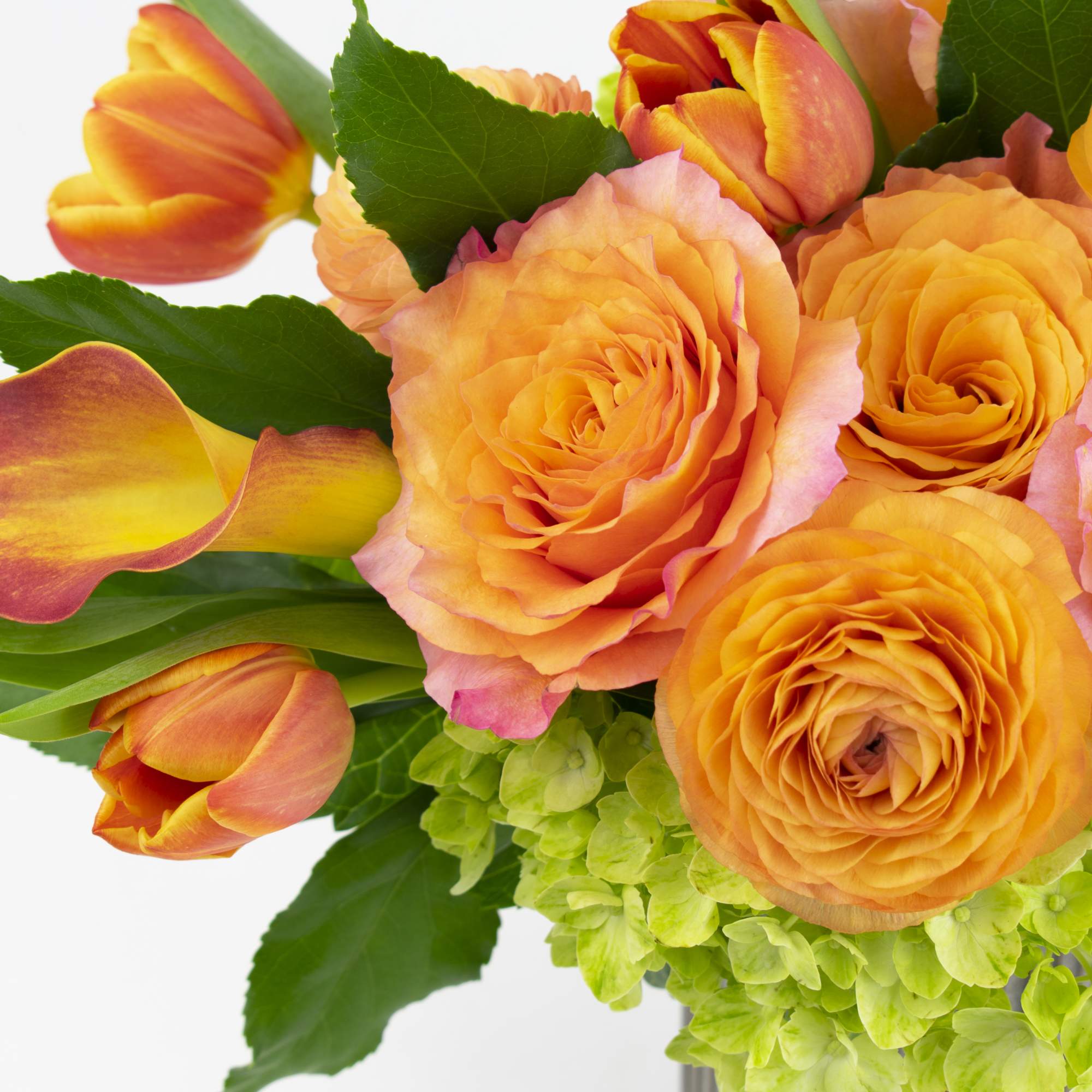 Orange roses and tulips with green hydrangeas in a bouquet