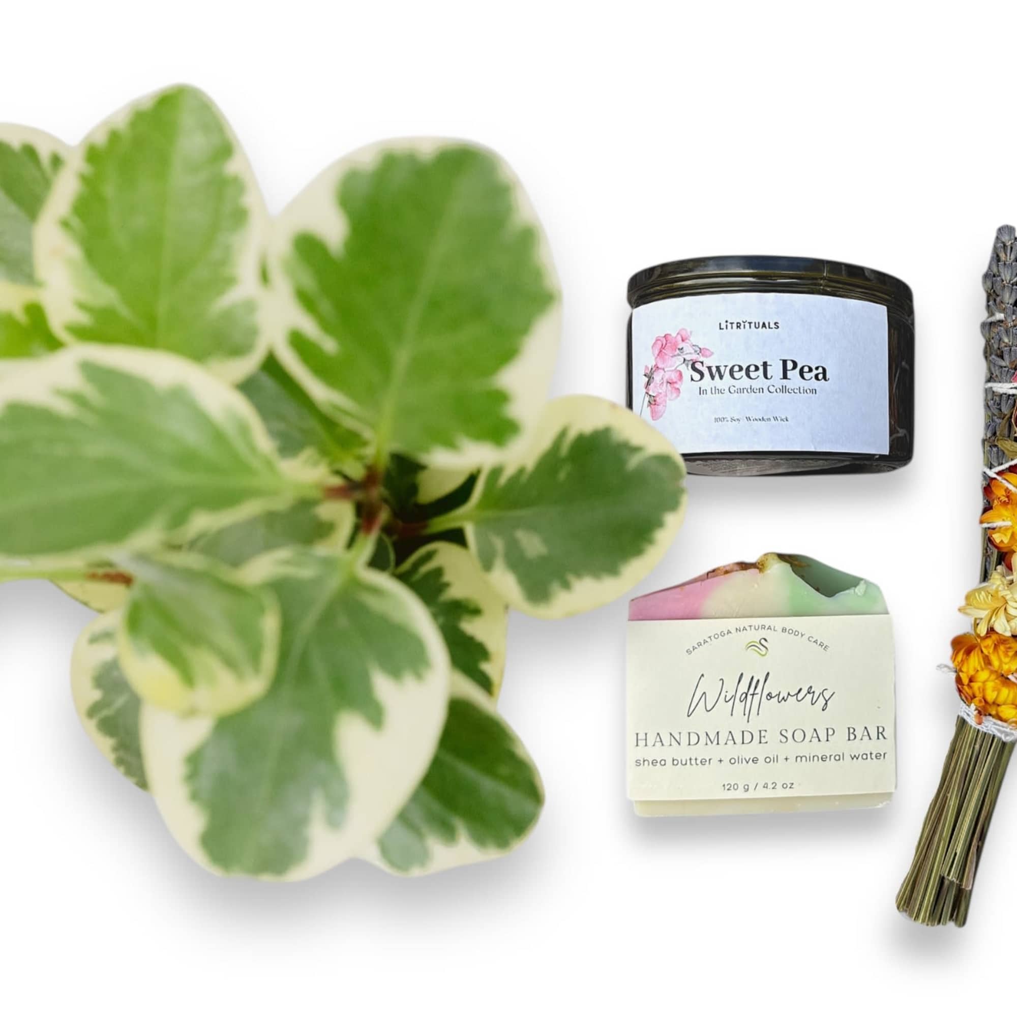 Variegated potted plant with a candle, soap bar, and dried flower bundle