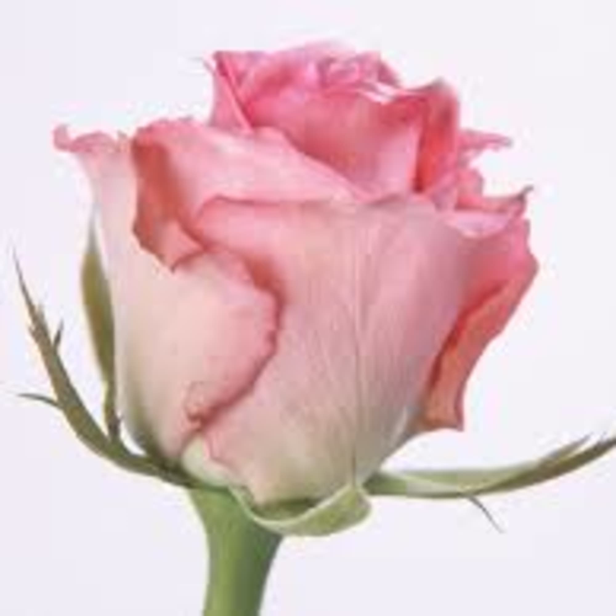 With a mixture of roses, asters, other flowers along with some bling, photo 23 of 24