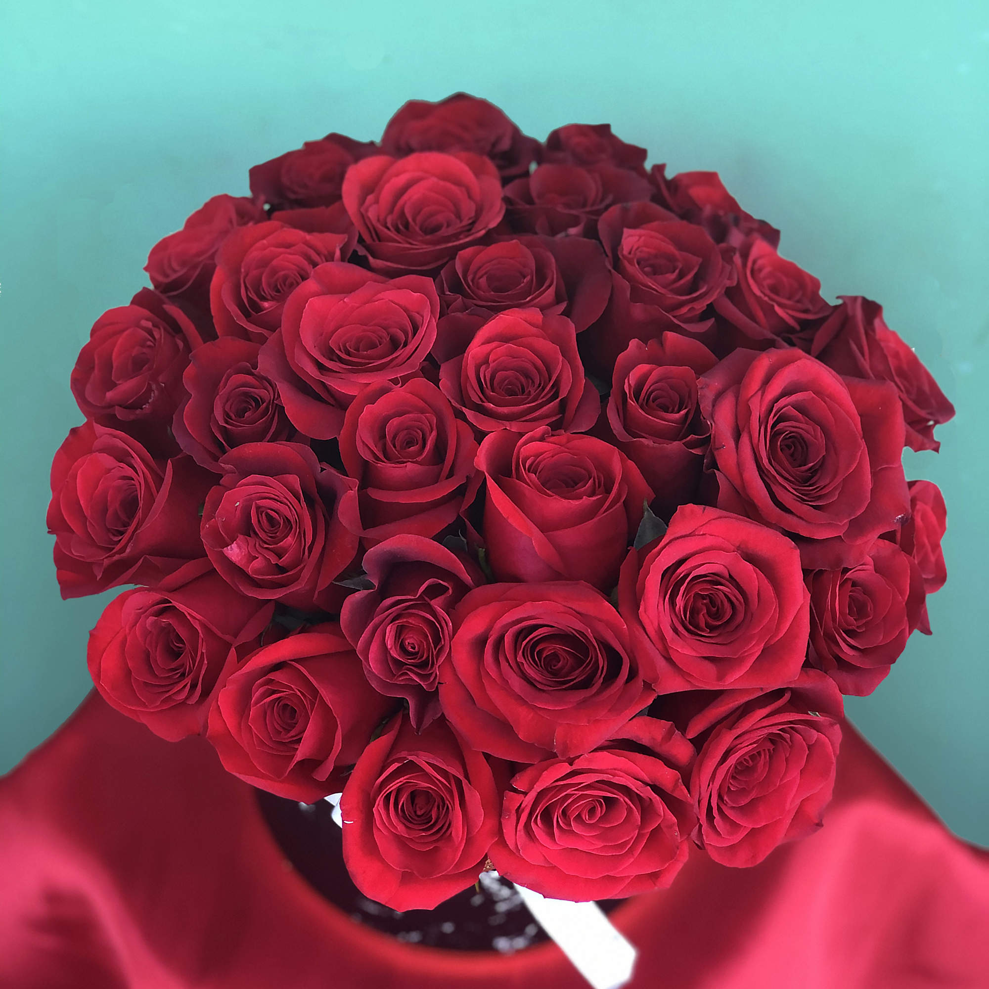 Bouquet of red roses wrapped in red paper