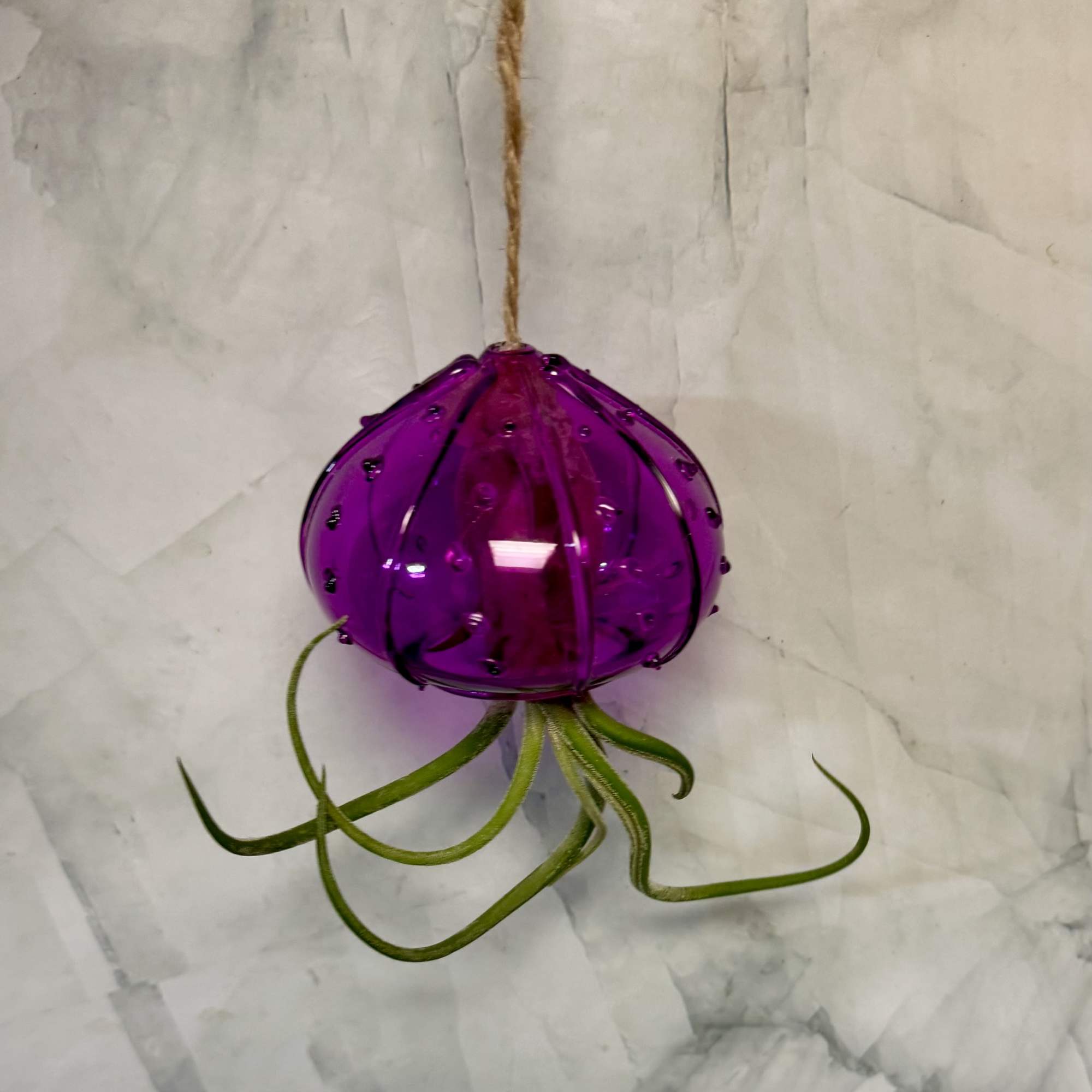 Purple glass ornament with green tendrils hanging from twine