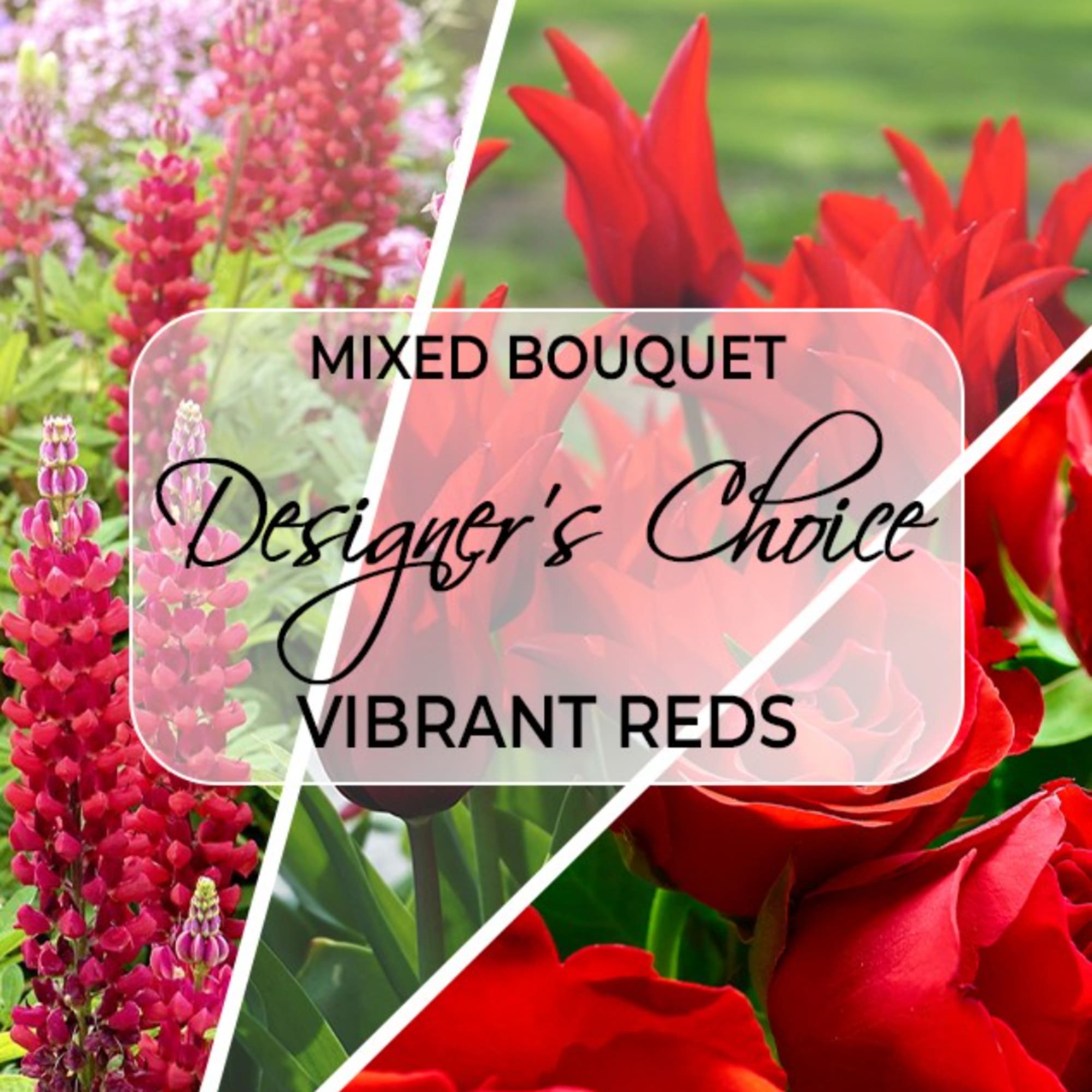Mixed bouquet of red flowers with overlaid text reading designer's choice