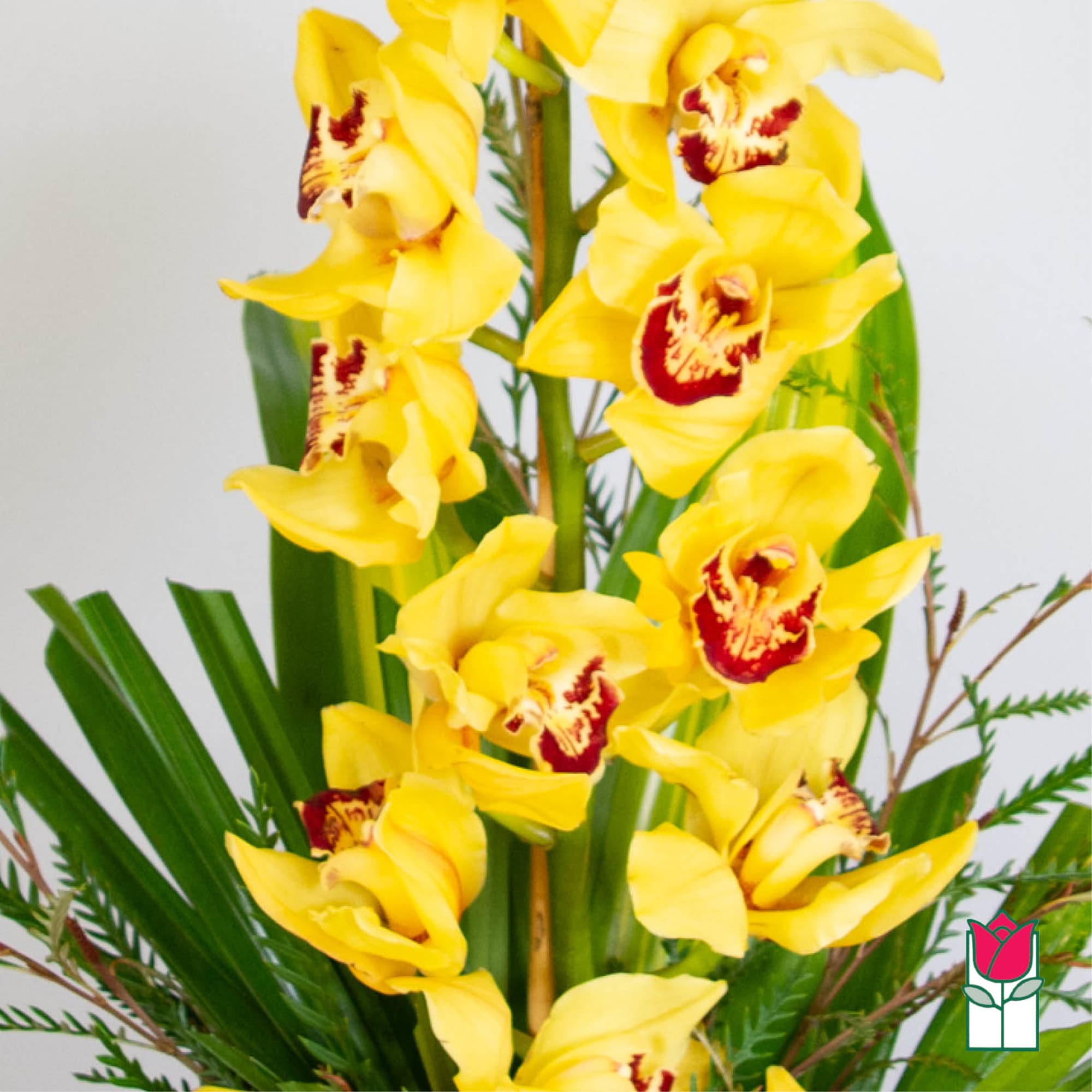 Tall stem of yellow orchids with red centers arranged in a vertical display