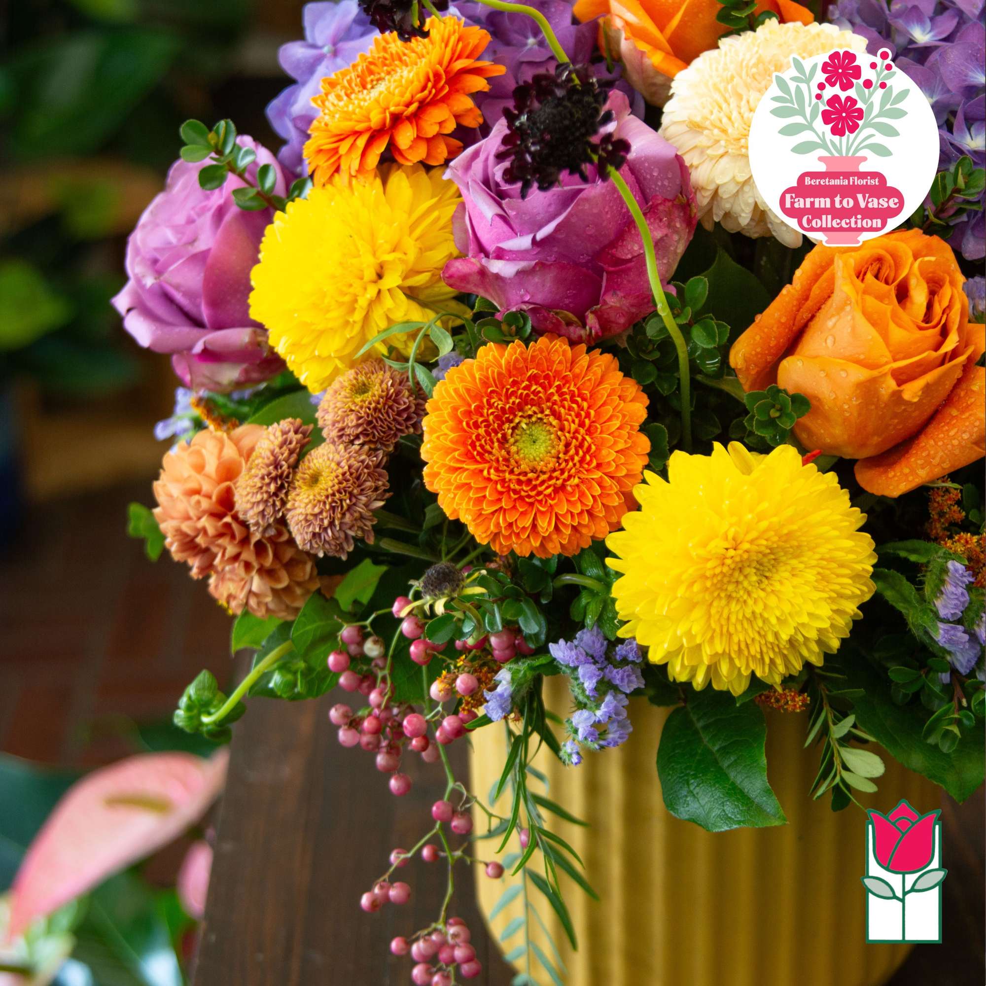 Mixed bouquet of roses and chrysanthemums in a gold vase