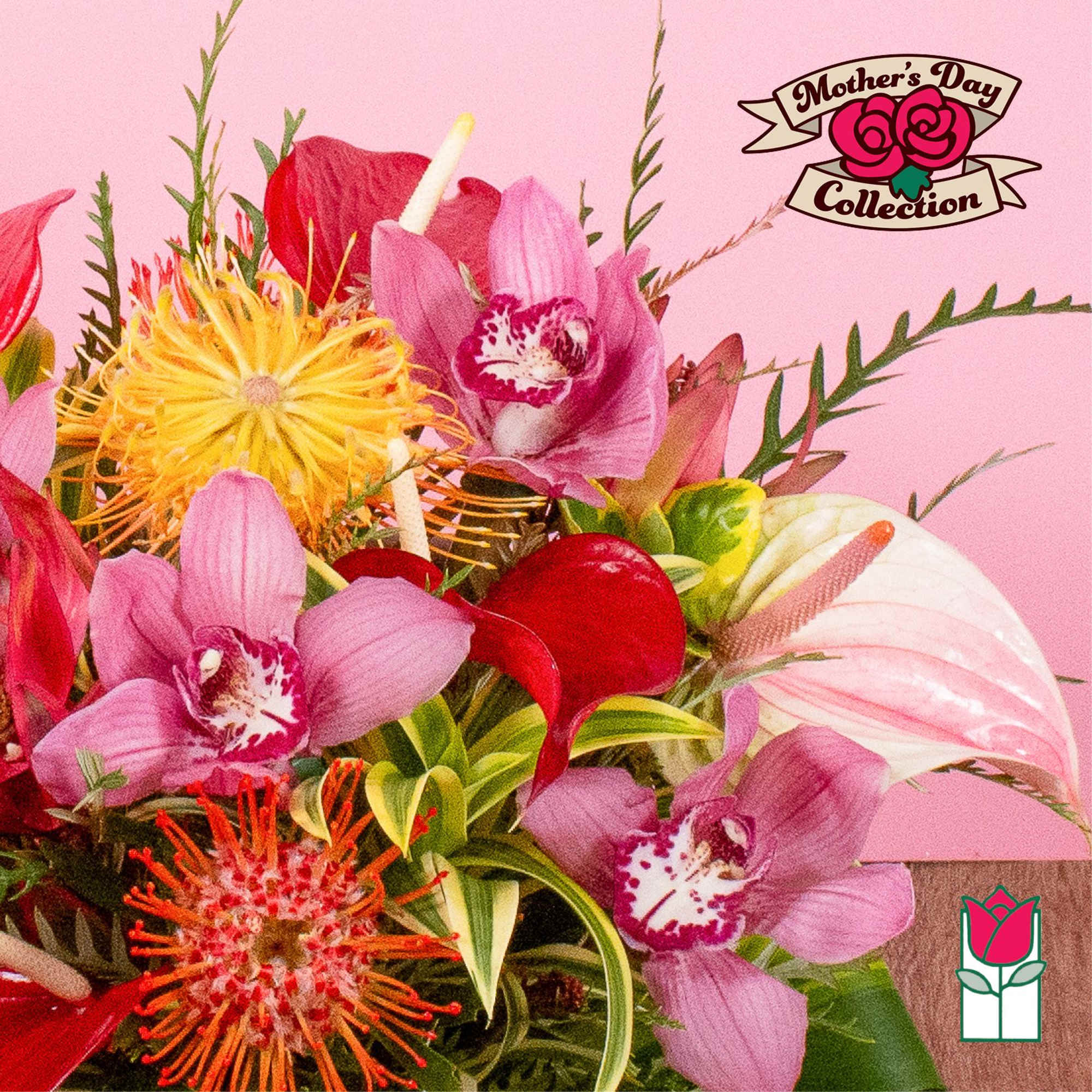 Bright arrangement of pink orchids, red calla lilies, and orange pincushion blooms on a pink background