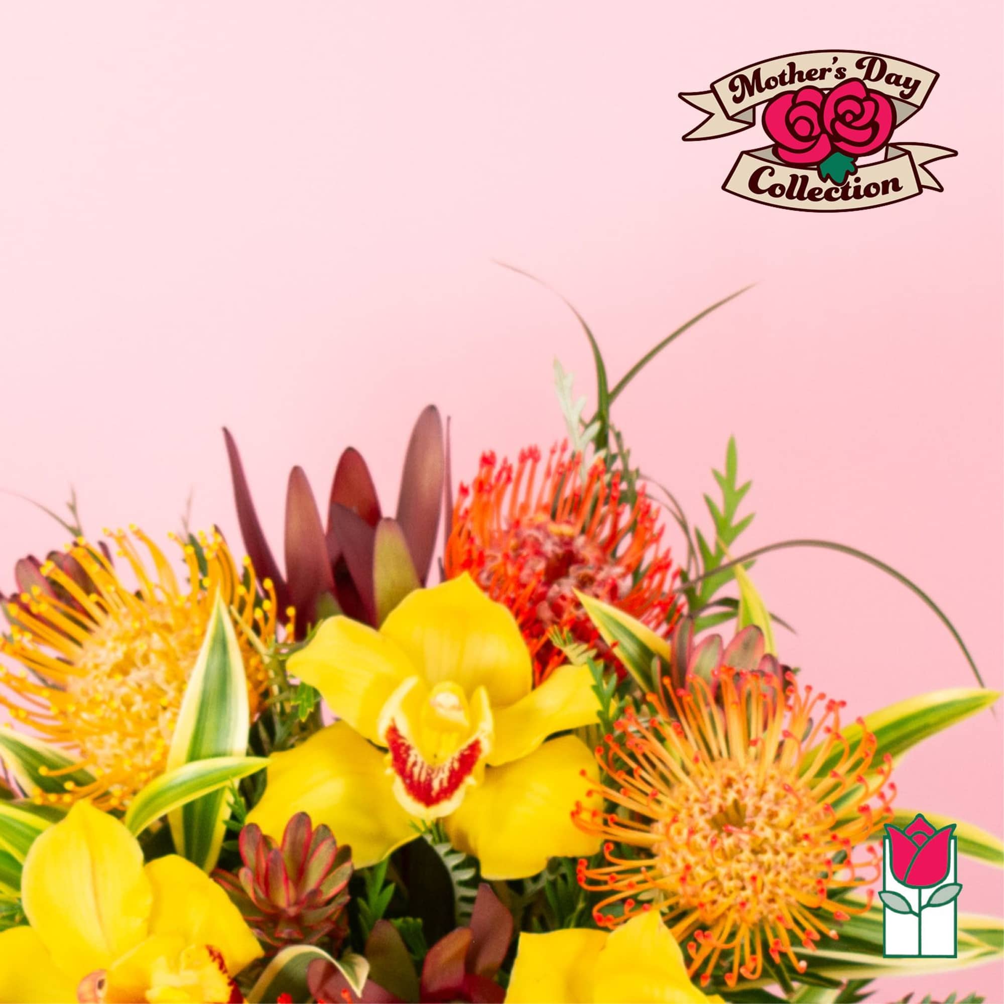 Bright tropical arrangement with yellow orchids and orange pincushion protea on a pink background