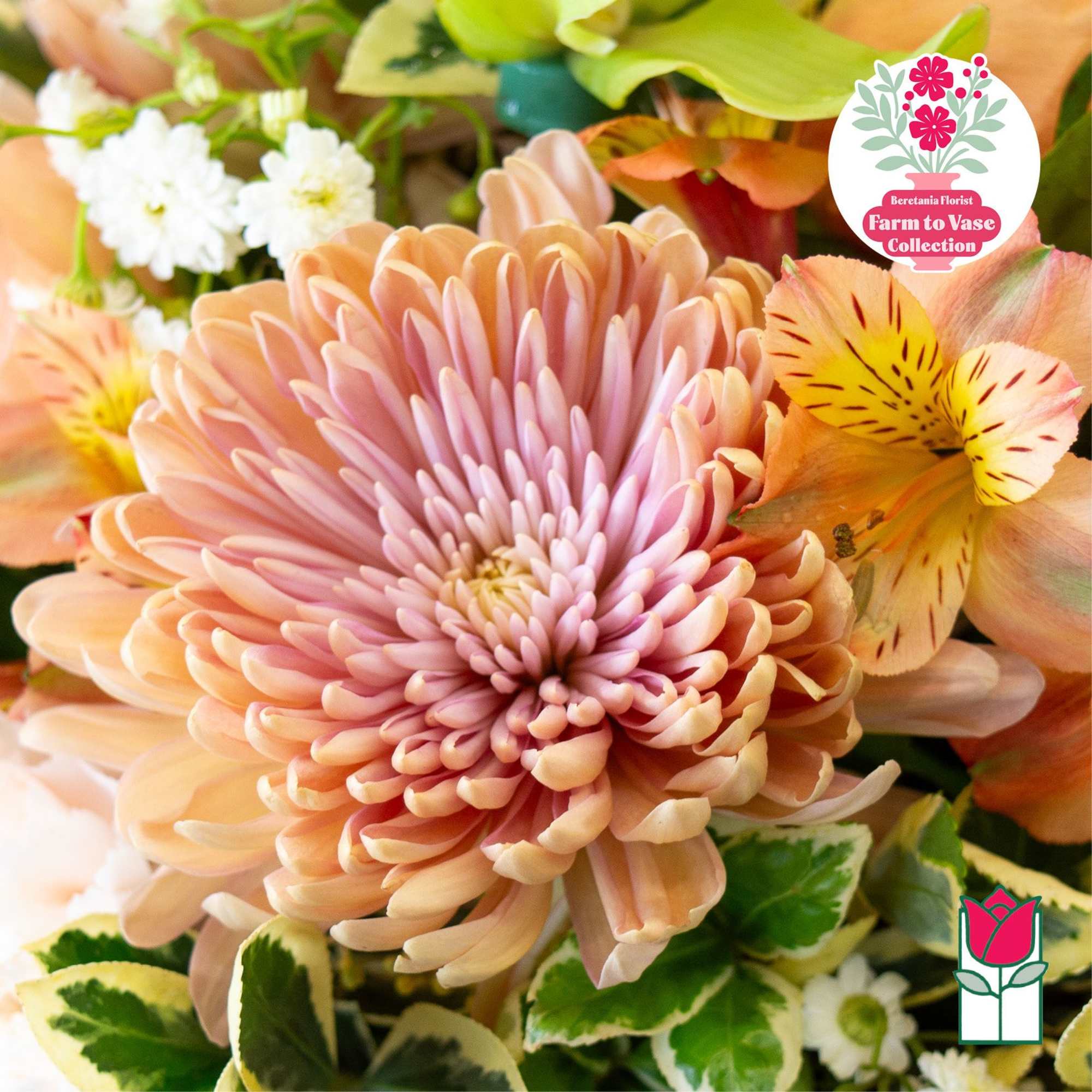 Close-up bouquet with a large peach chrysanthemum and pale alstroemeria flowers